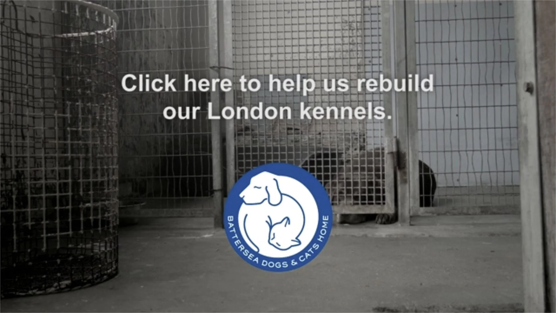 battersea_00333.jpg