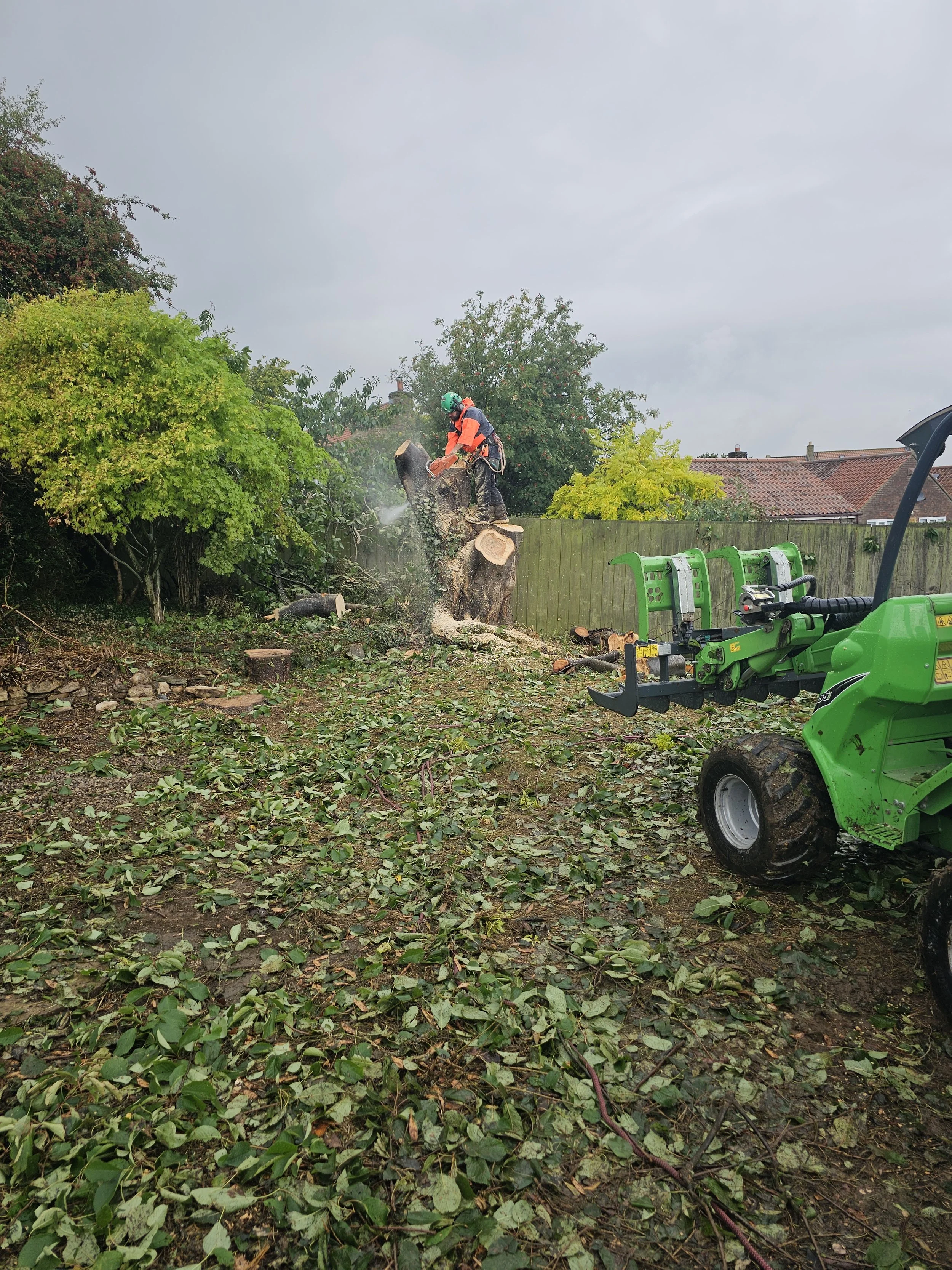 machinery tree removal site clearance  
