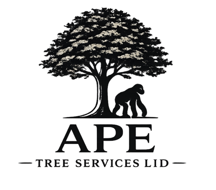 Ape Tree Services