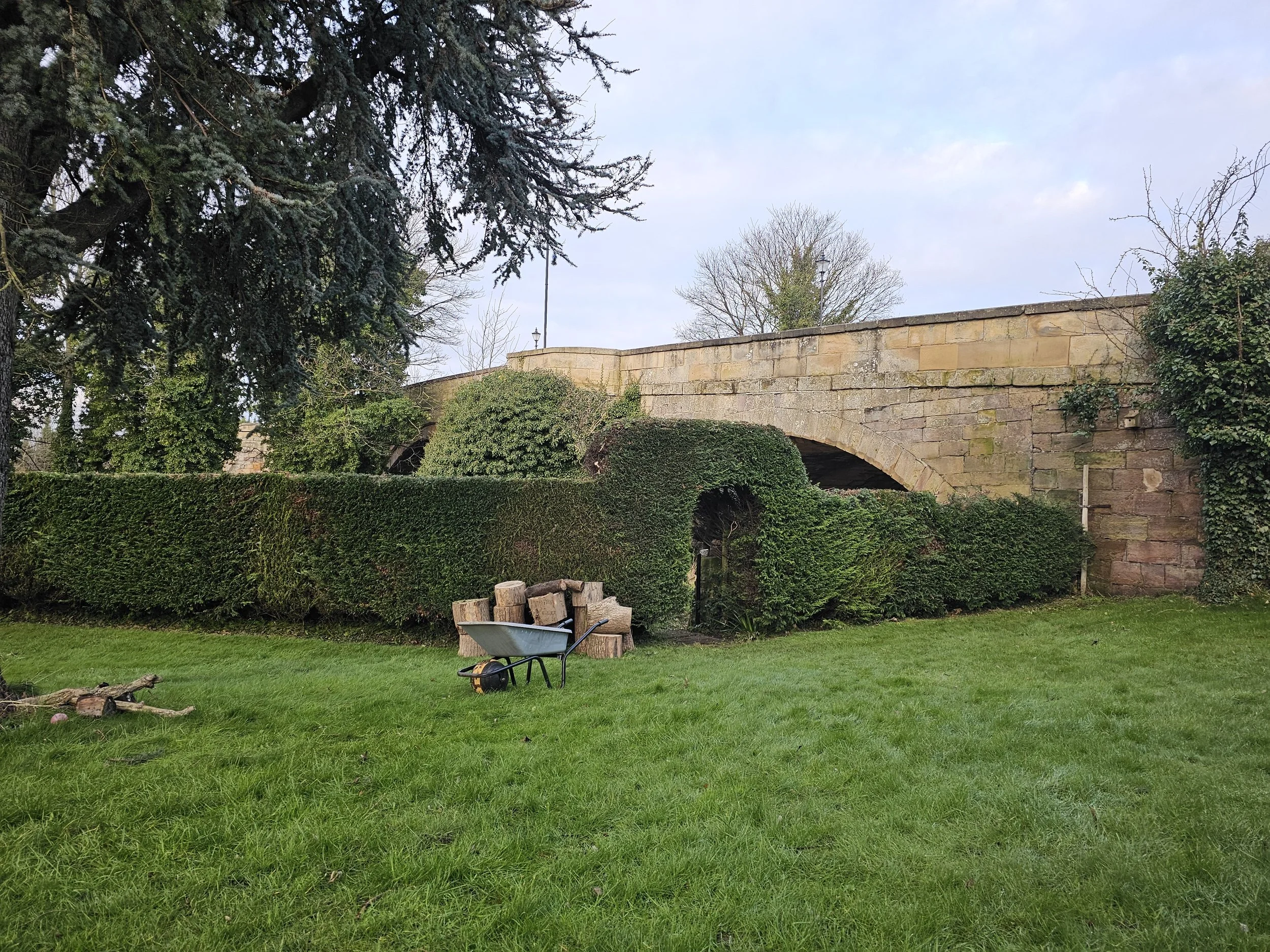 hedge cutting.jpg