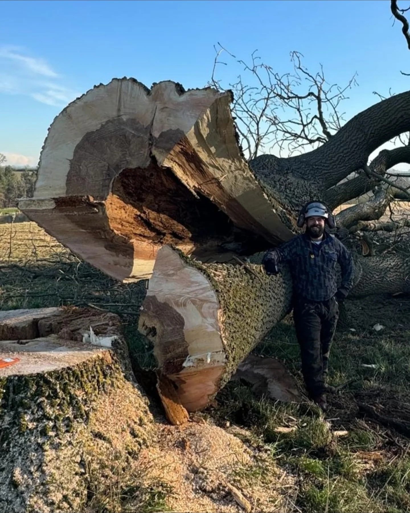 A man standing next to a large fallen tree with a wide smile, wearing a helmet and headphones, in an outdoor area with grass and other trees visible in the background.