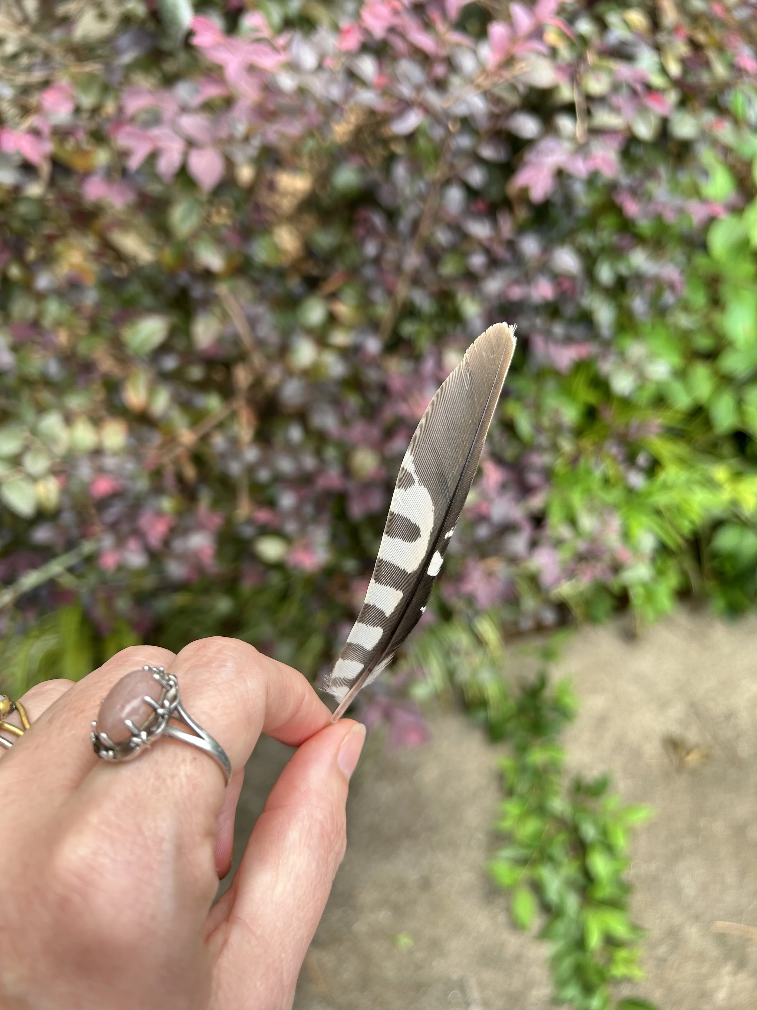The Magic of Openness in Spiritual Work