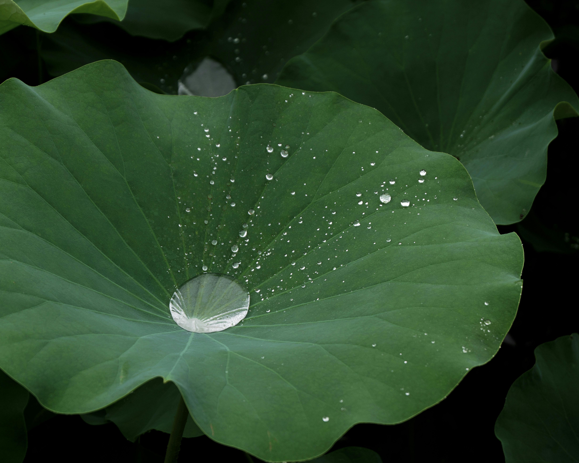 The Body Knows Before the Mind Is Ready