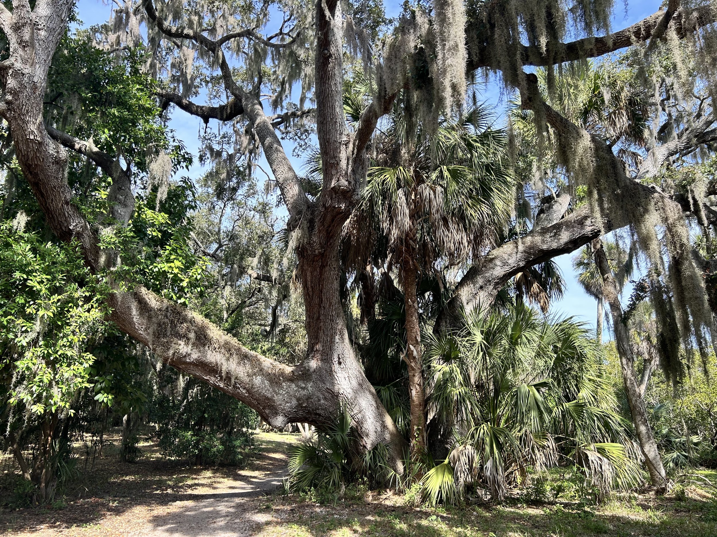 Ways to Come Back to Yourself When You Feel Overwhelmed