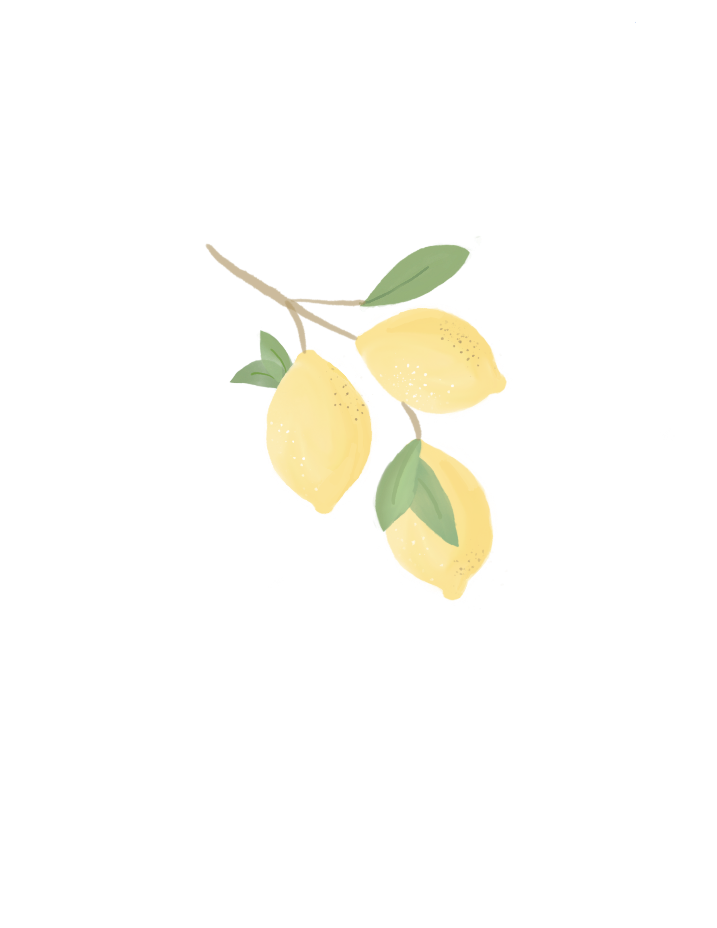 NO_Background 2.png