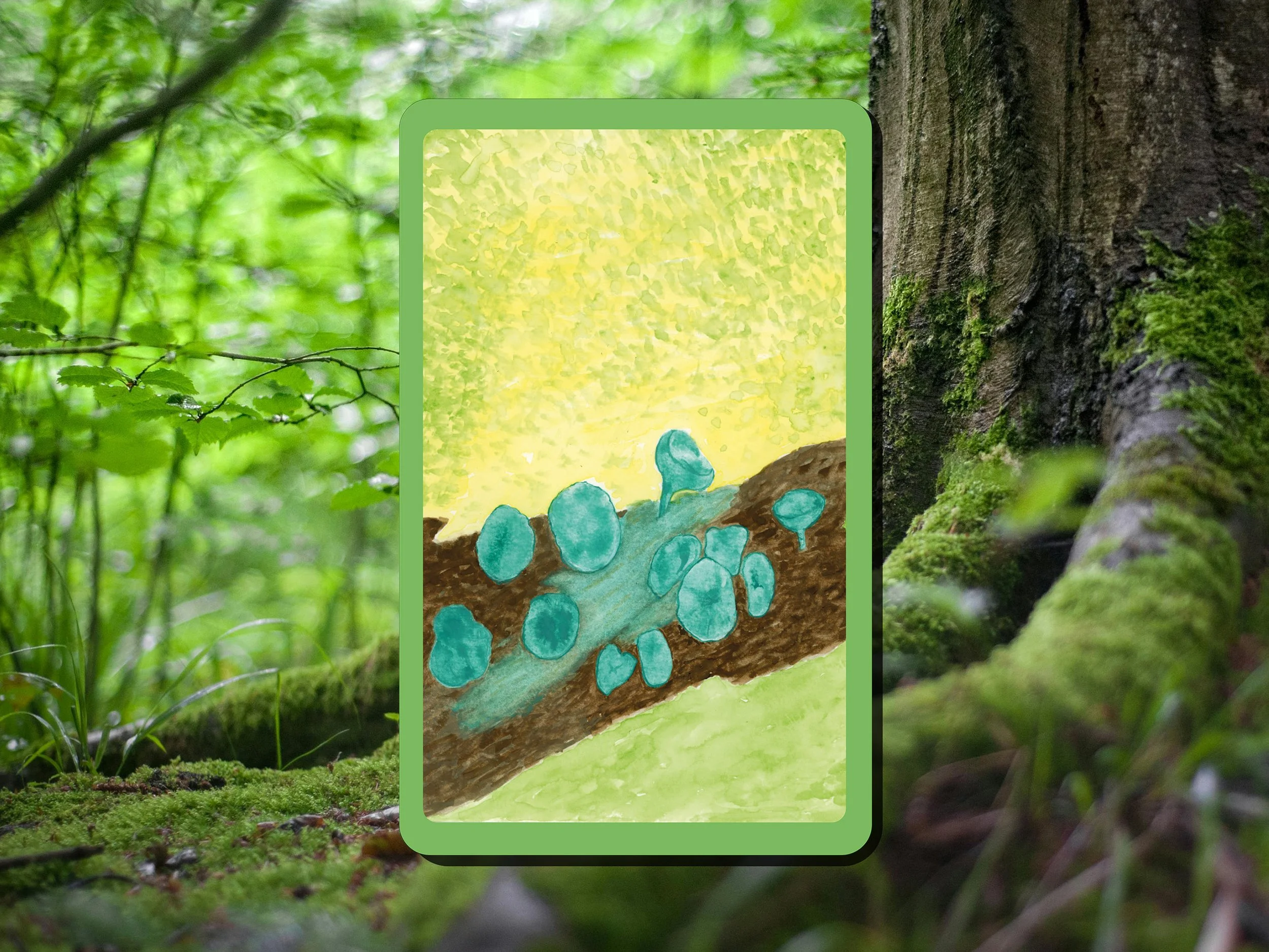 kopergroene bekerzwammetjes card.jpg