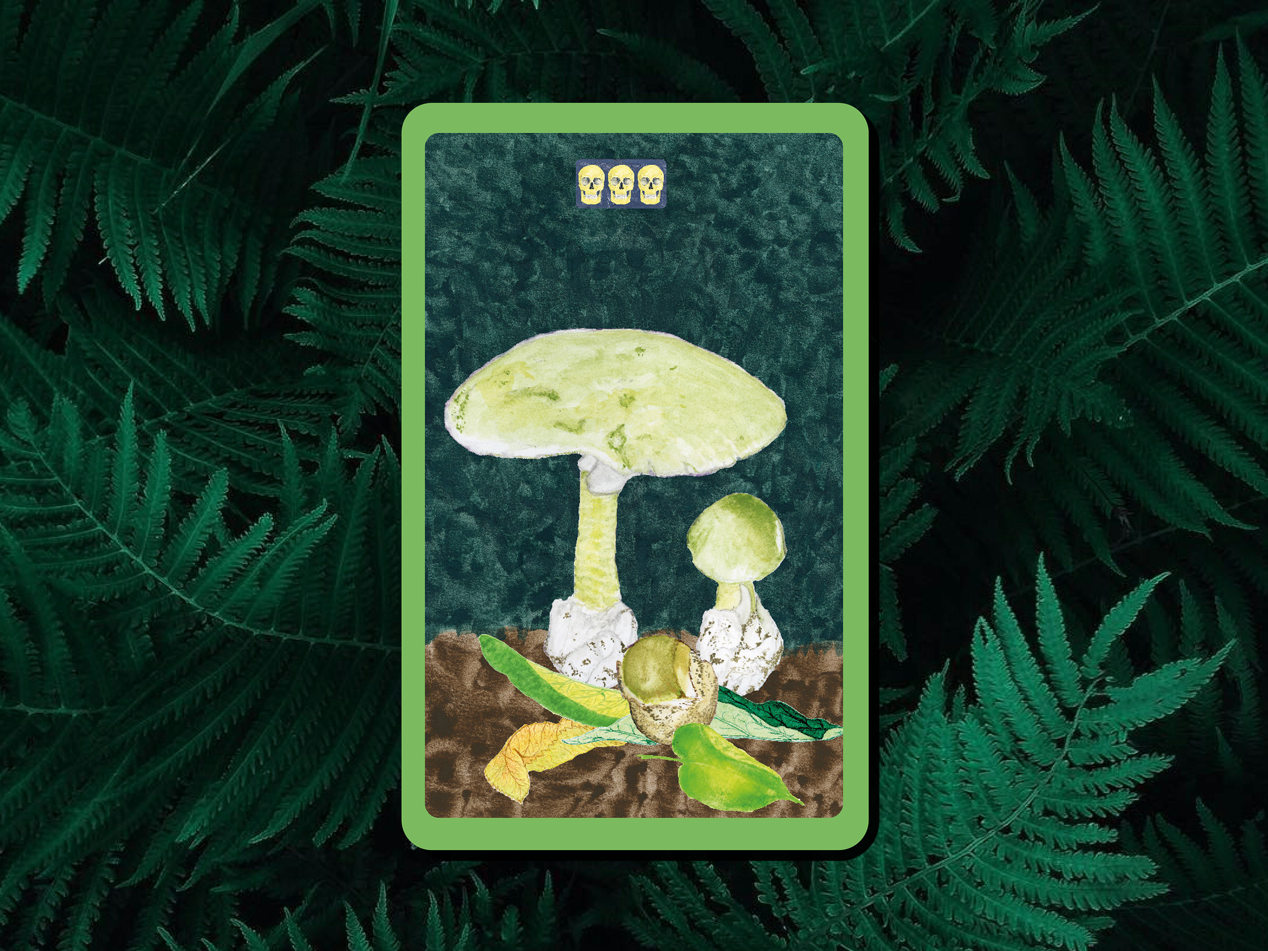 amanita phalloides death cap.png