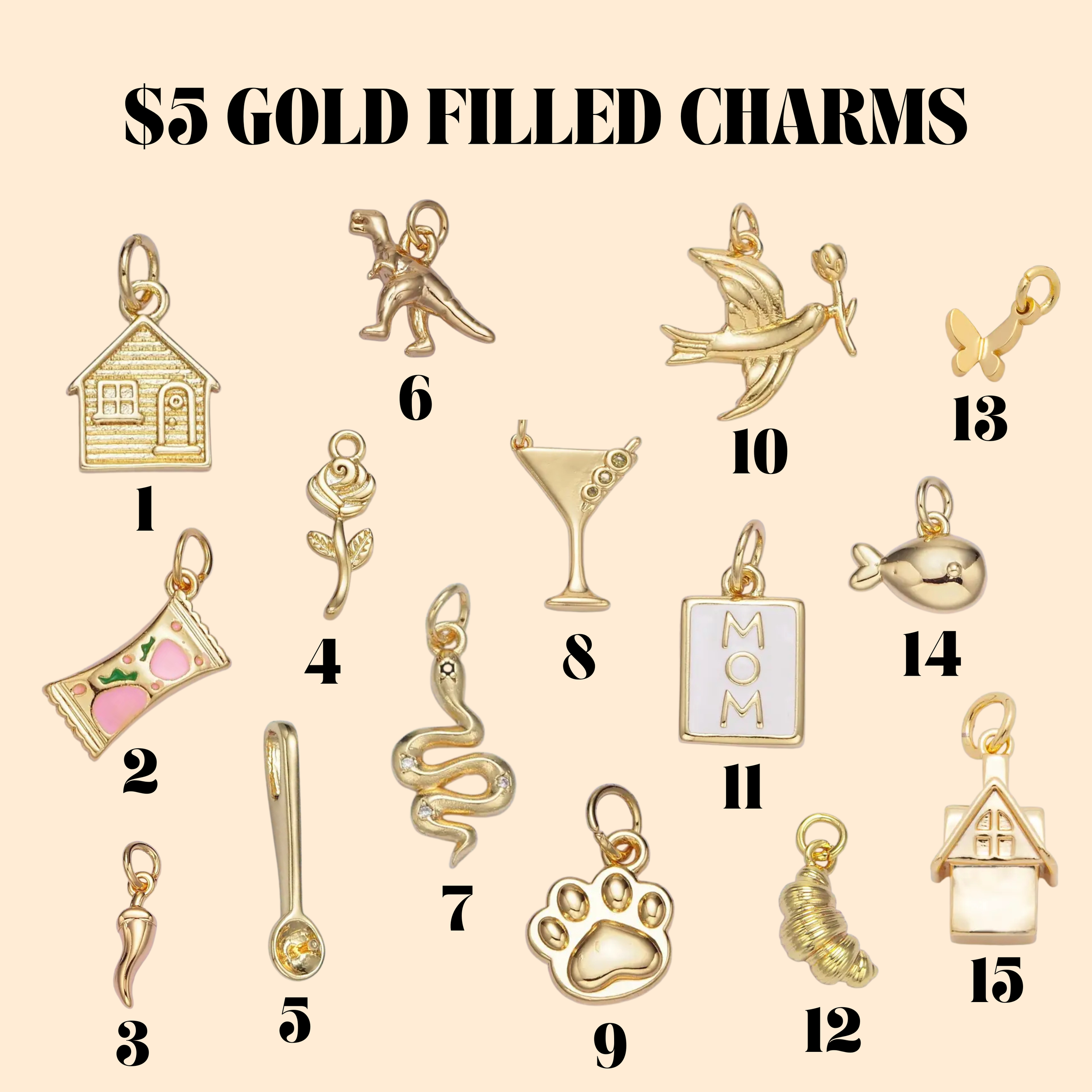 $5 Gold Filled Charms