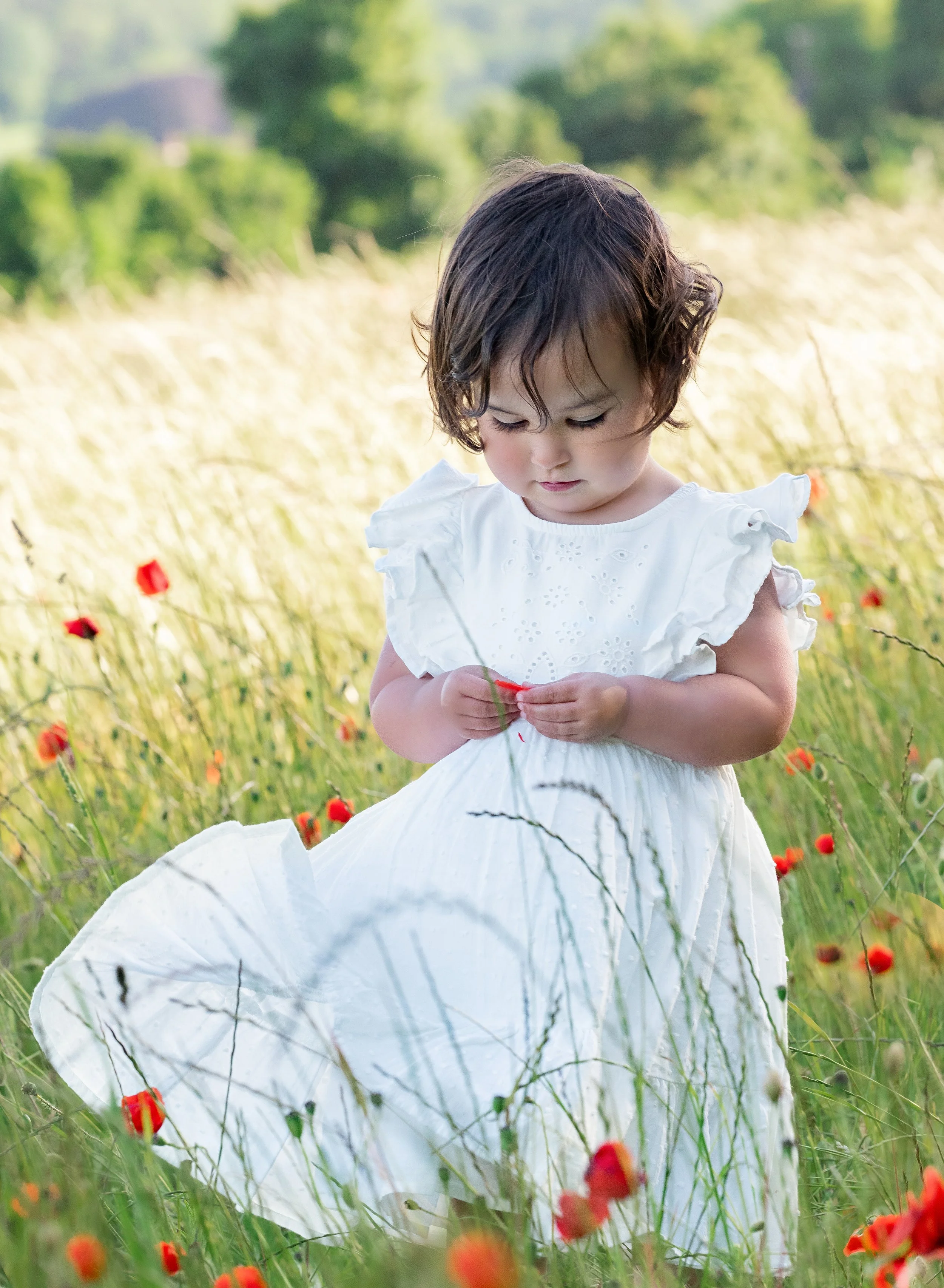 A young girl with dark curly hair wearing a white dress sitting in a field of tall grass and red poppies, looking down at a flower in her hands.