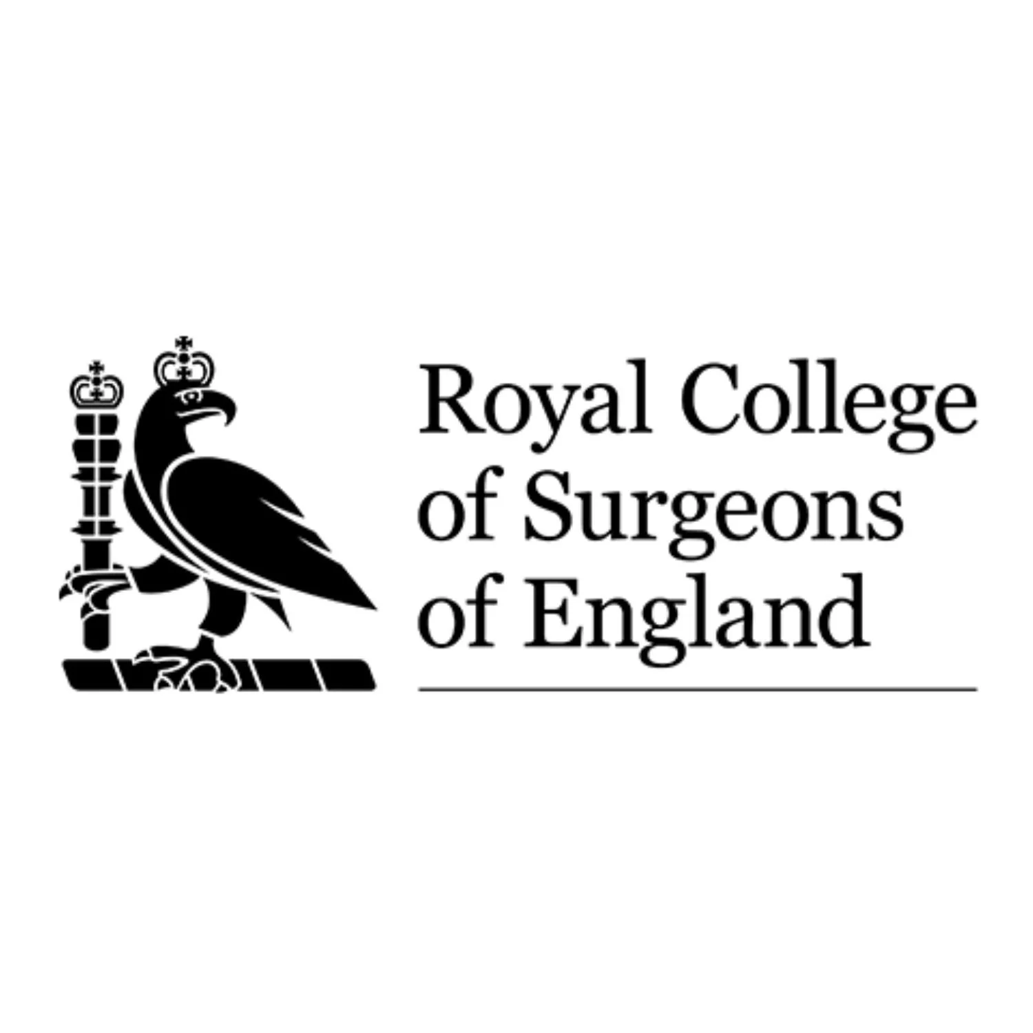 royal-college-surgeons-england-alliliations-memberships-matthew-brown-hand-wrist-surgeon-edinburgh.jpg