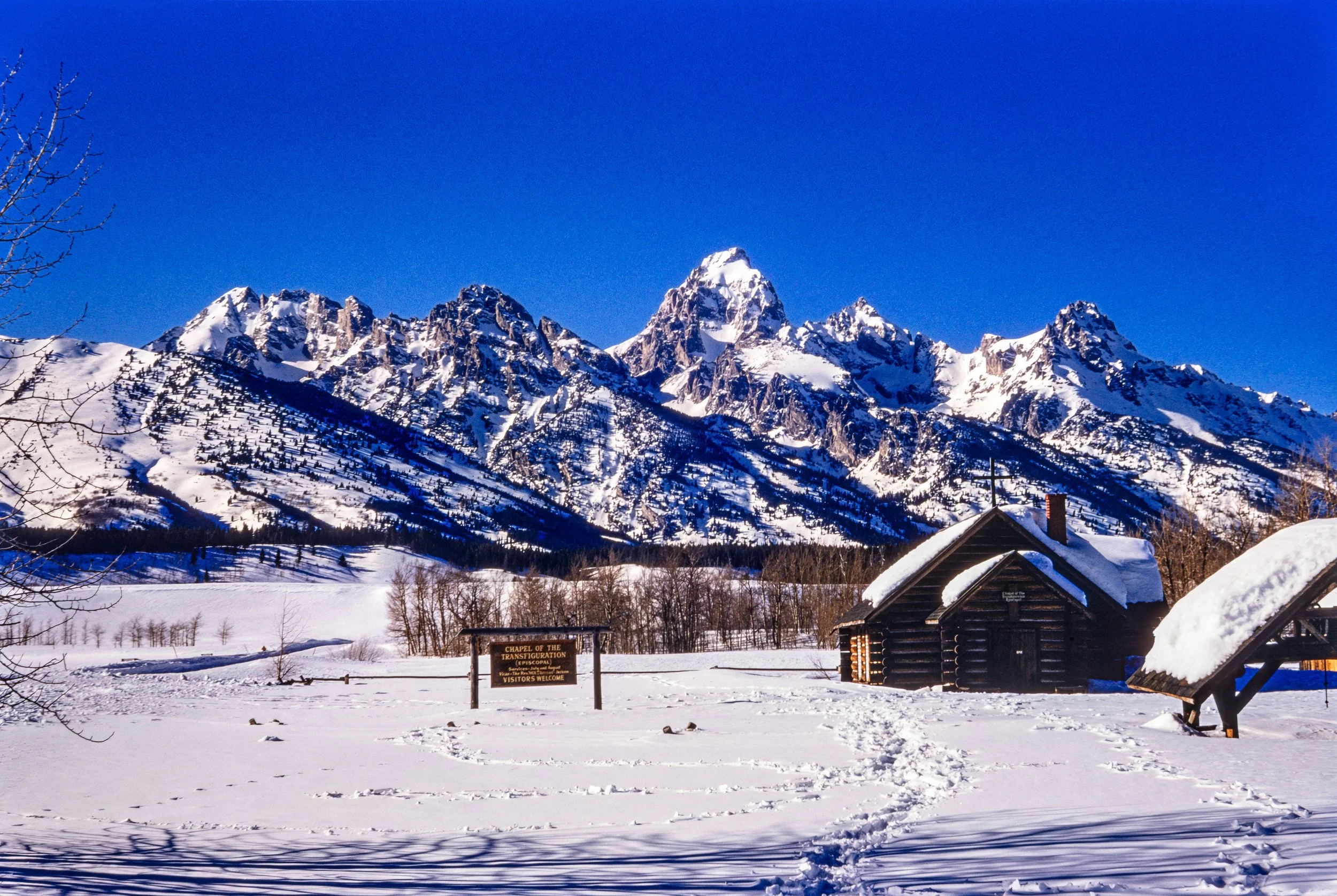 366A6270-3-topaz 004-focus-upscale-2x.jpg