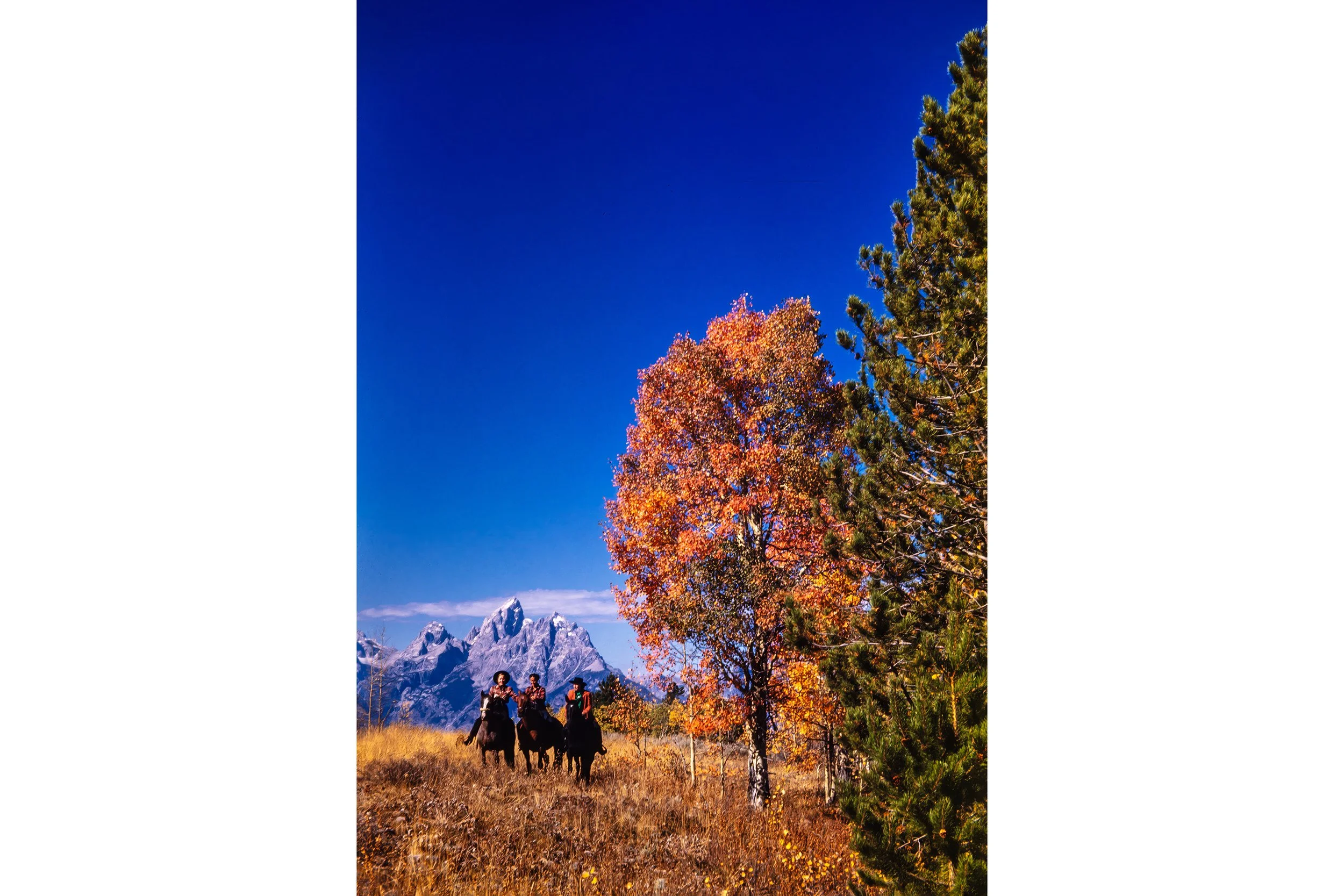 Introductory—Large Format in Exterior/Hall (~42 x 28")