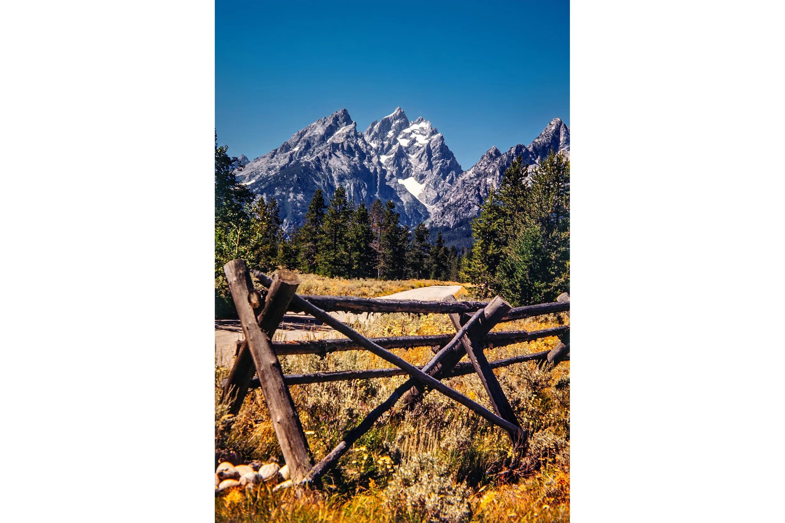 366A6100-topaz 002-denoise-upscale-12300h-2-V.jpg