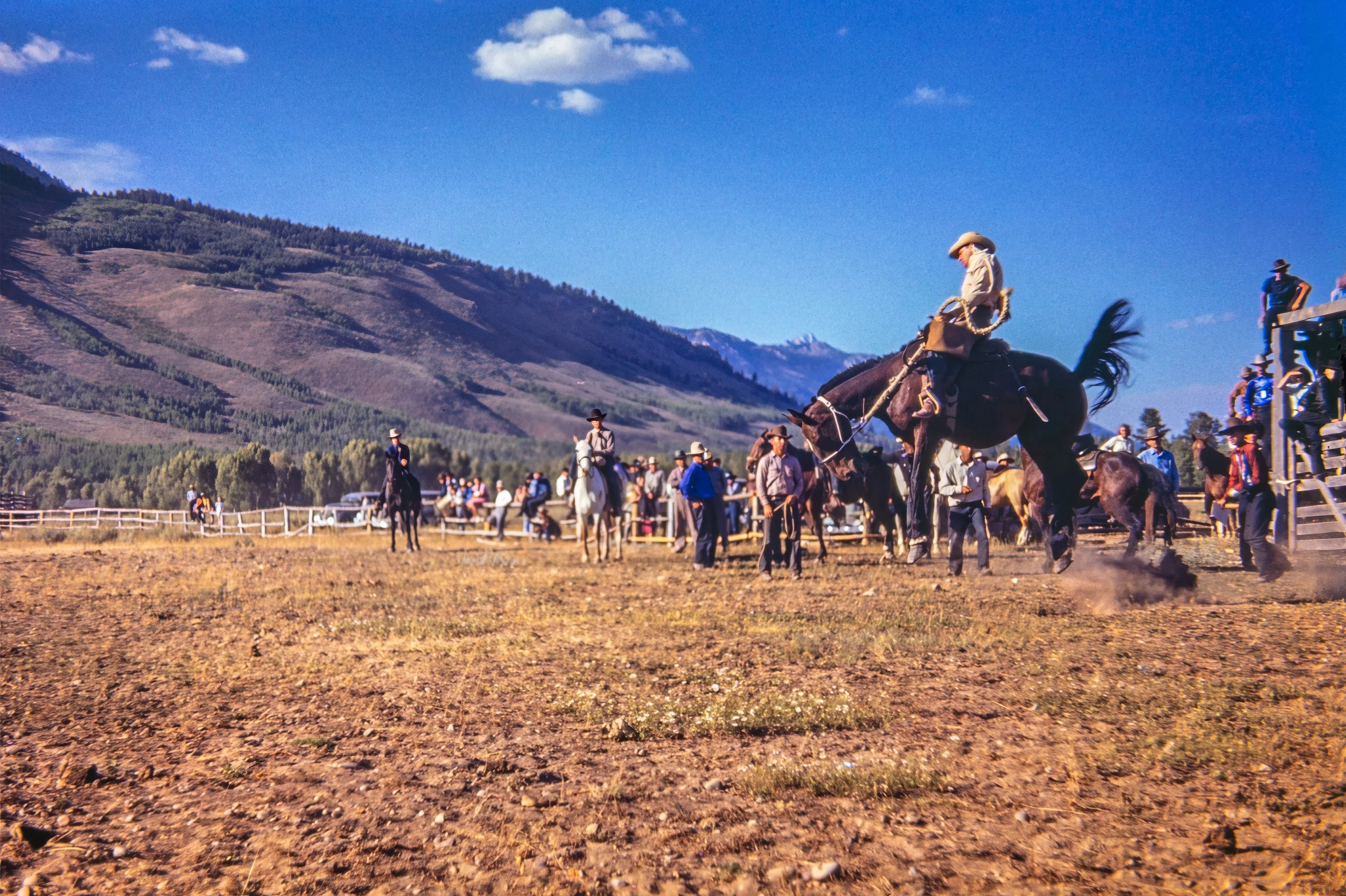 366A6250-topaz 004-focus-upscale-12300w-2.jpg