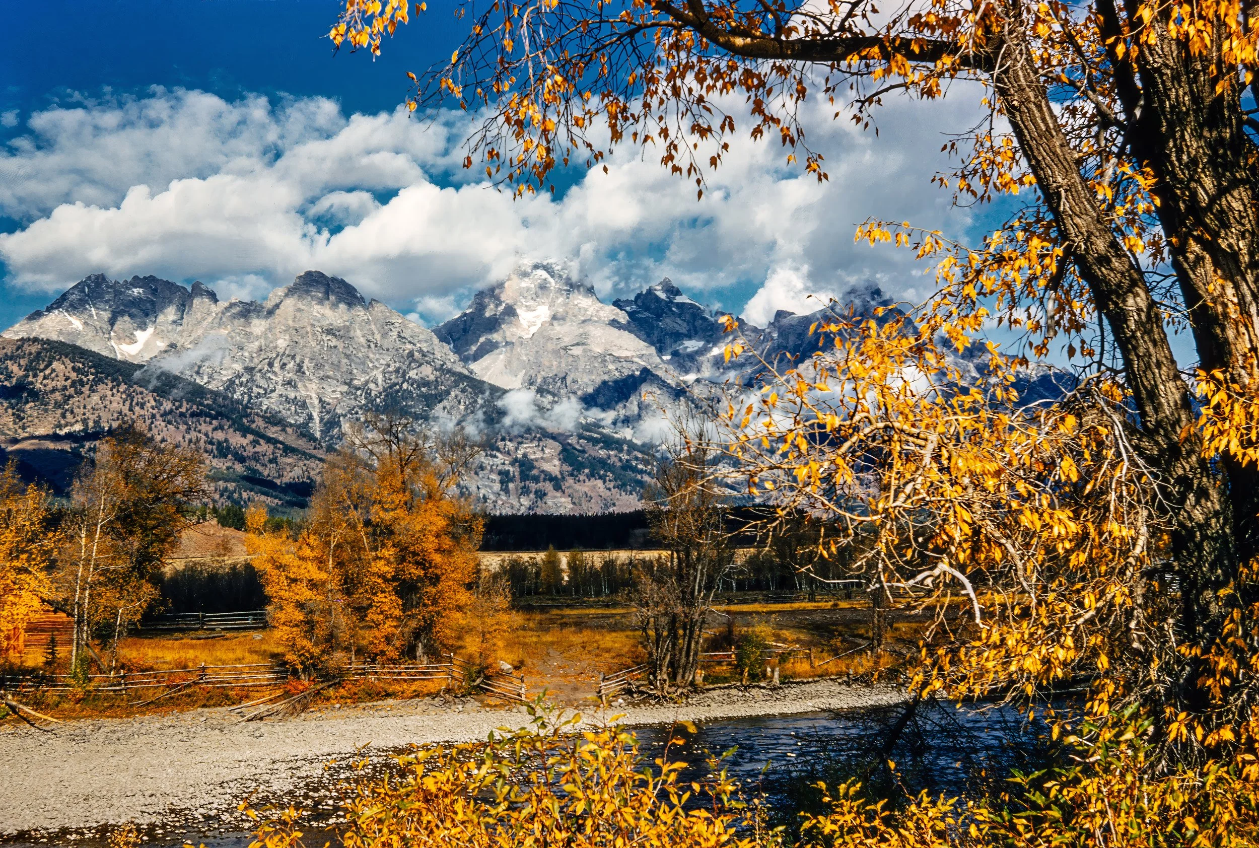 366A6104-2-topaz 001-denoise-upscale-2x-2-L.jpg