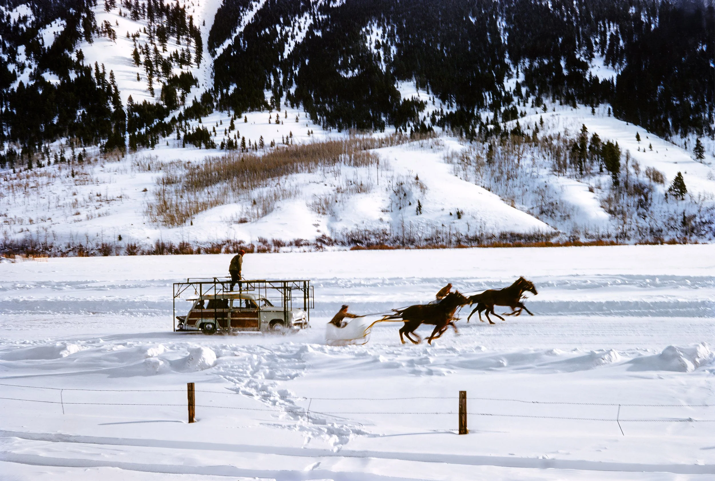 366A6138-topaz 004-upscale-2x-2-L.jpg