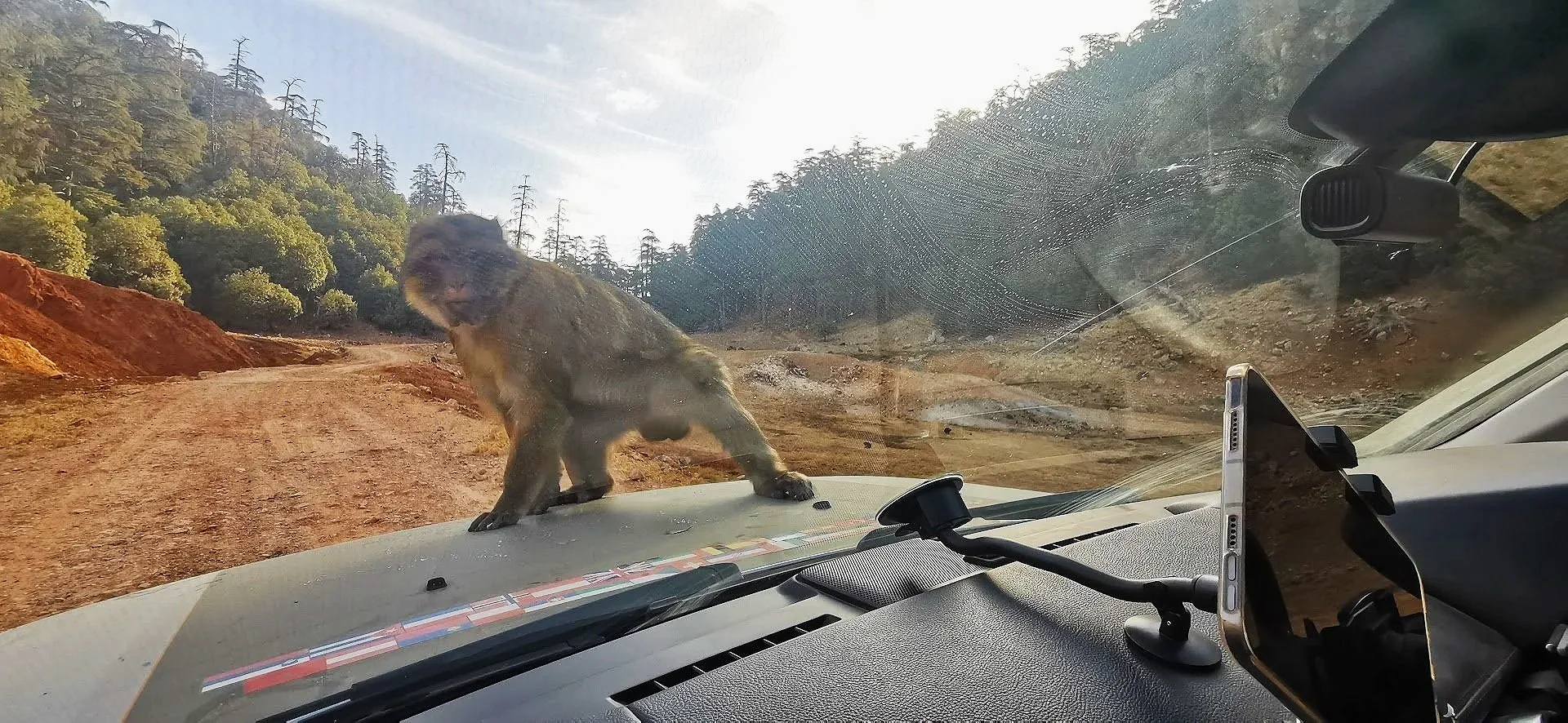 Morocco - Lac de Tislit, MH1 around Jaafar &amp; hundreds of monkeys