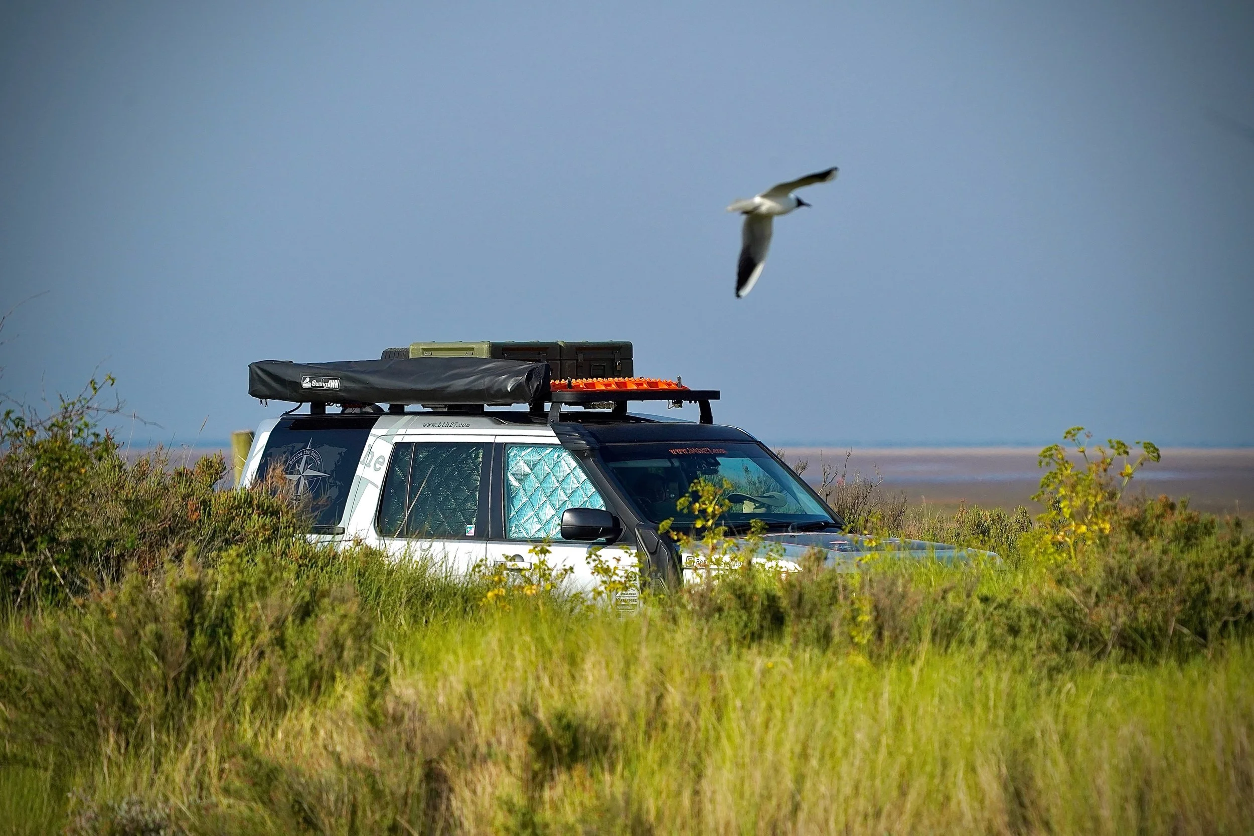 Wings above. Wheels below. The horizon calls us all. 🕊️🚙
Every journey starts with saying yes to the unknown.
Where are you heading next? 👇