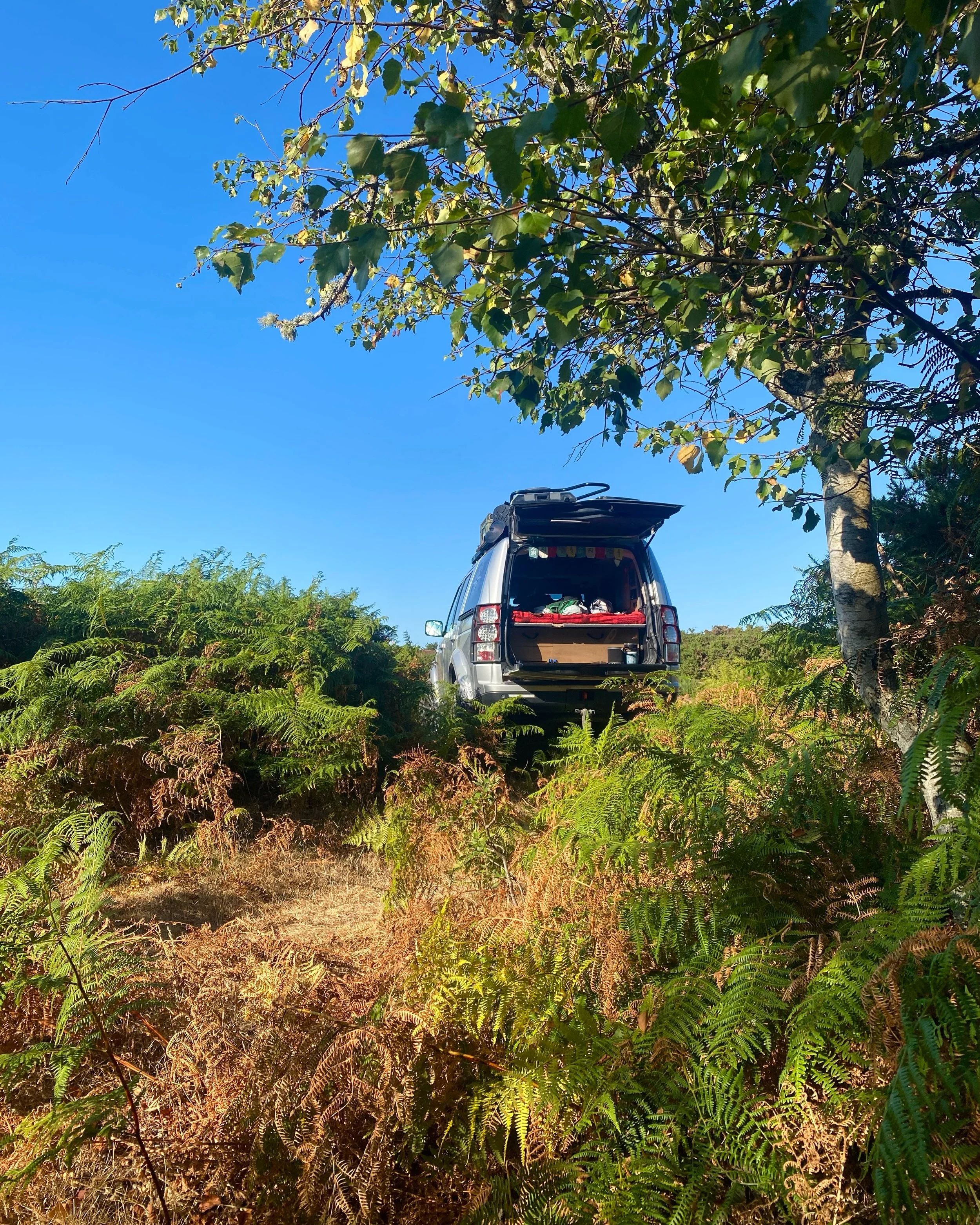 Waking up to views like this never gets old. 🌿☀️ Another incredible camp spot in Dorset. Such a stunning part of England - we&rsquo;ll definitely be back. 🇬🇧🚐