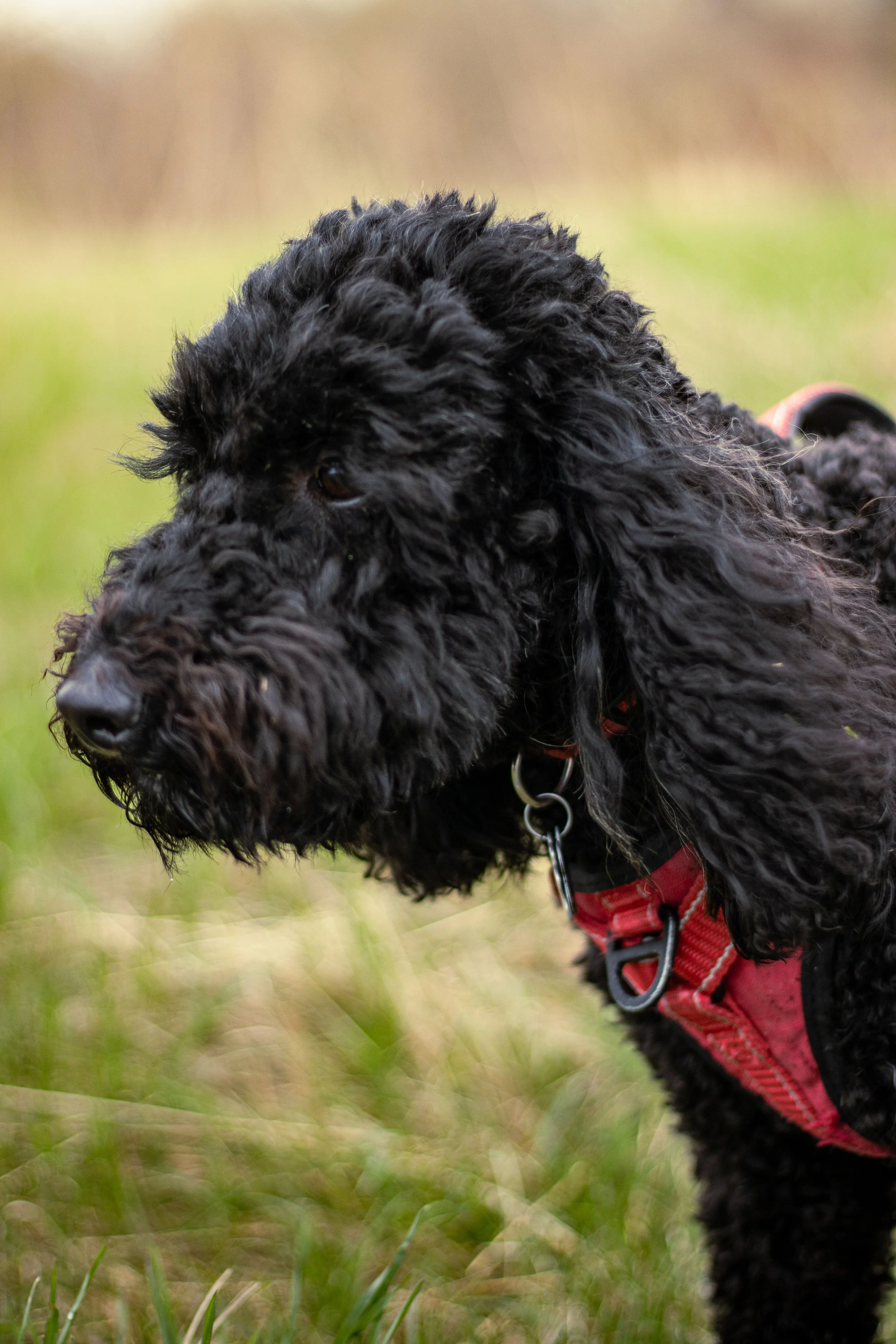 Photo 2025-05-05, 5 13 52 PM.jpg