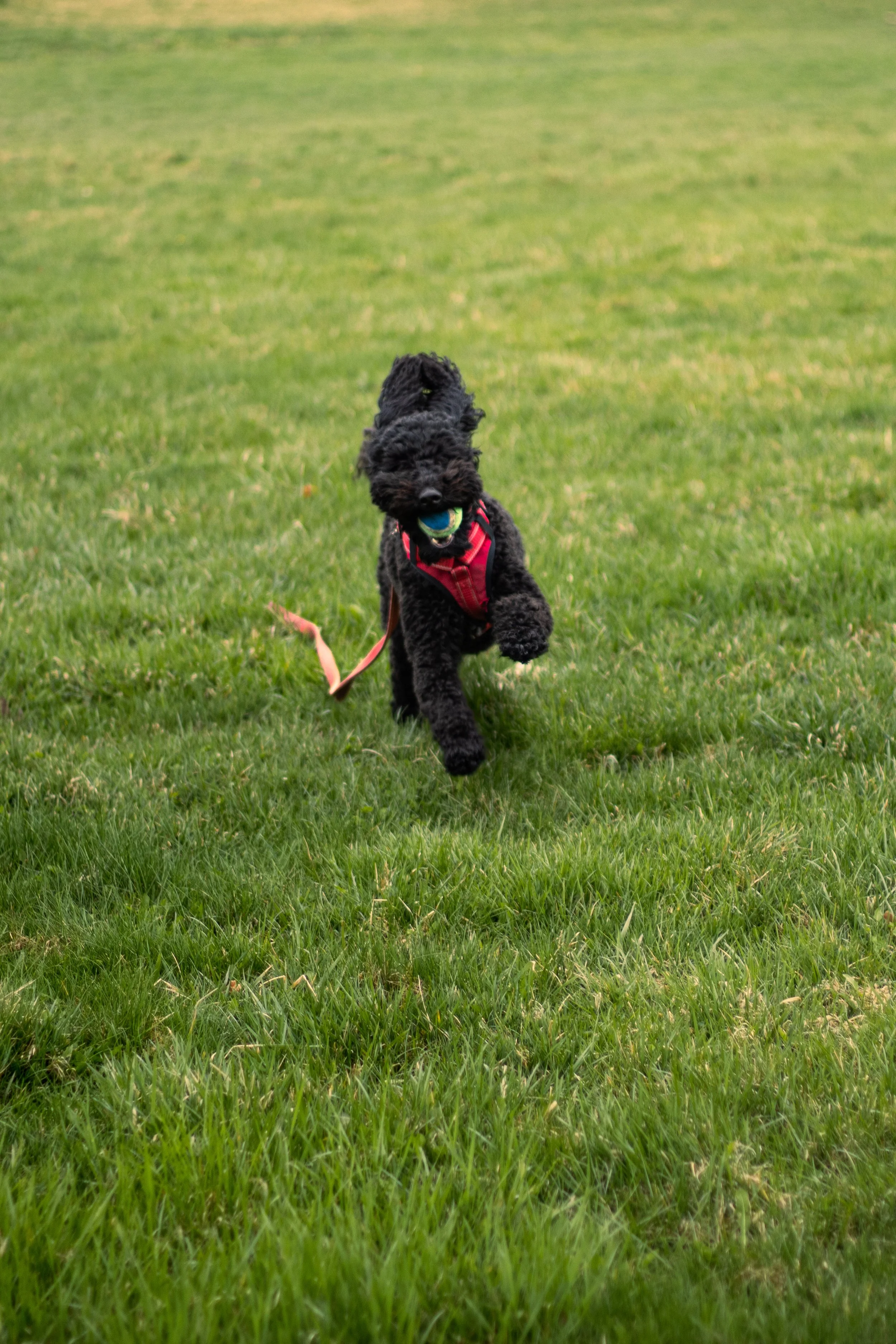 Photo 2025-05-05, 5 00 04 PM.jpg