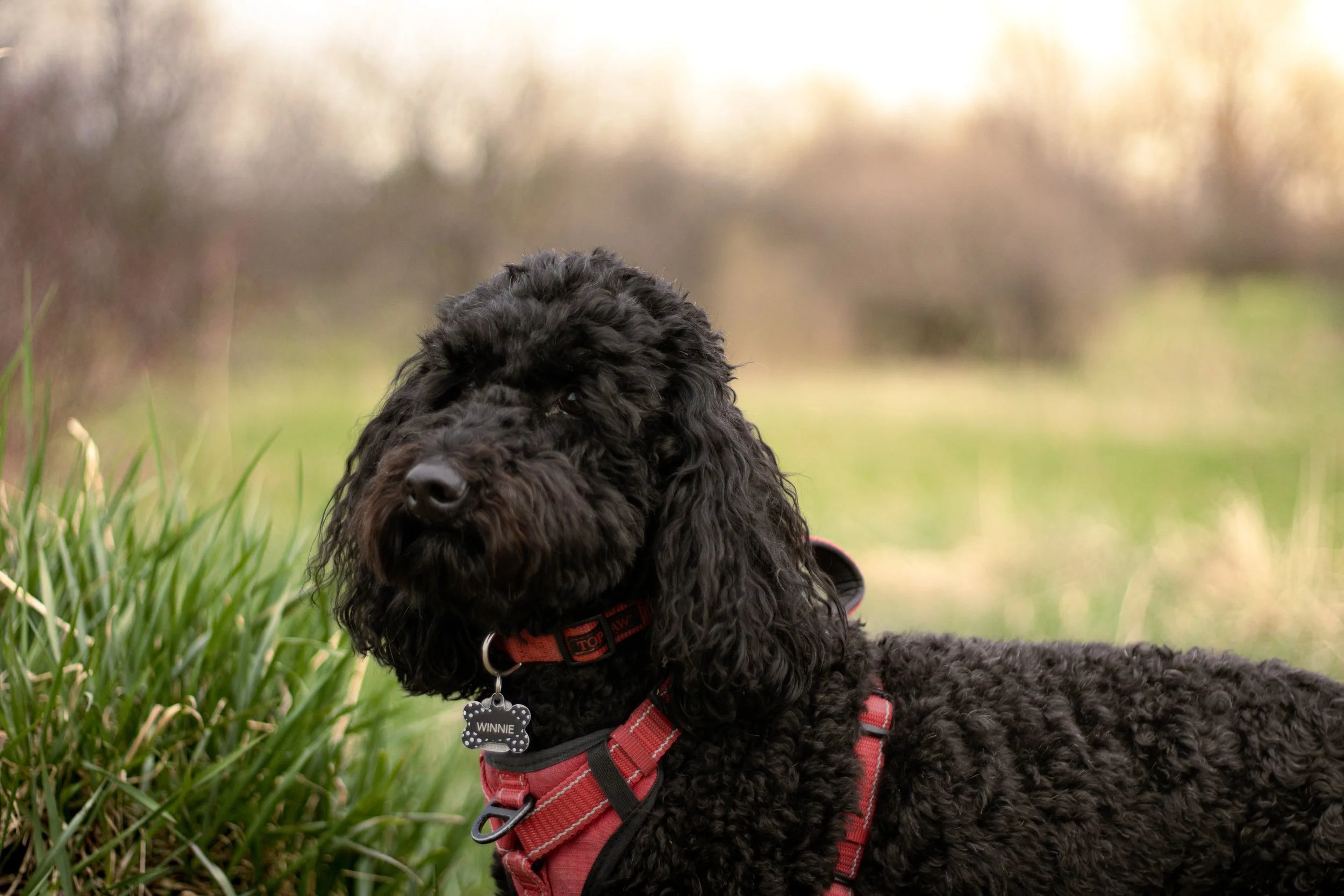 Photo 2025-05-04, 6 18 54 PM.jpg