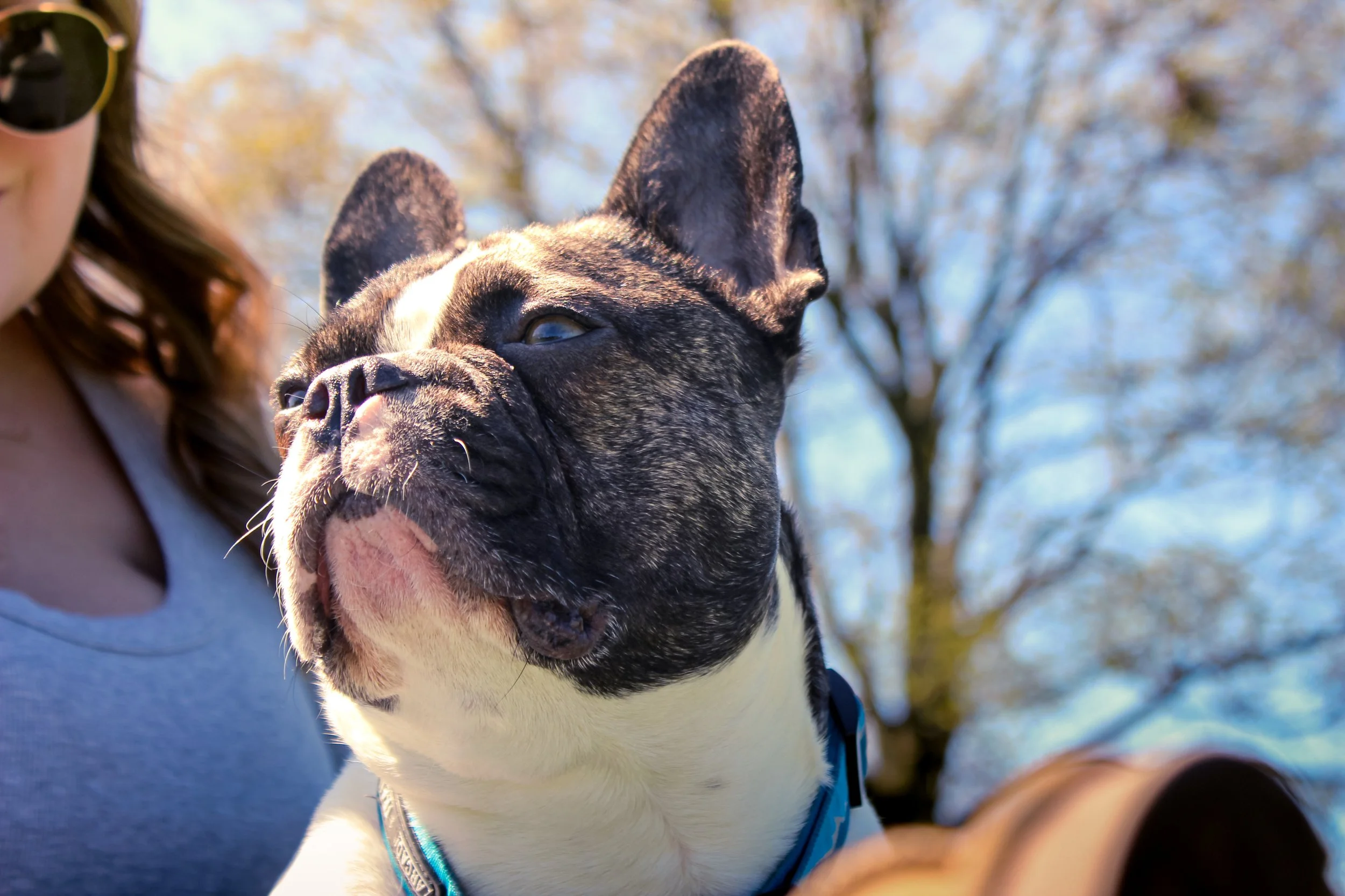 Photo 2025-04-27, 12 23 36 PM.jpg