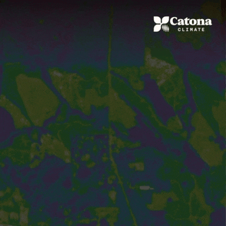 image7.gif