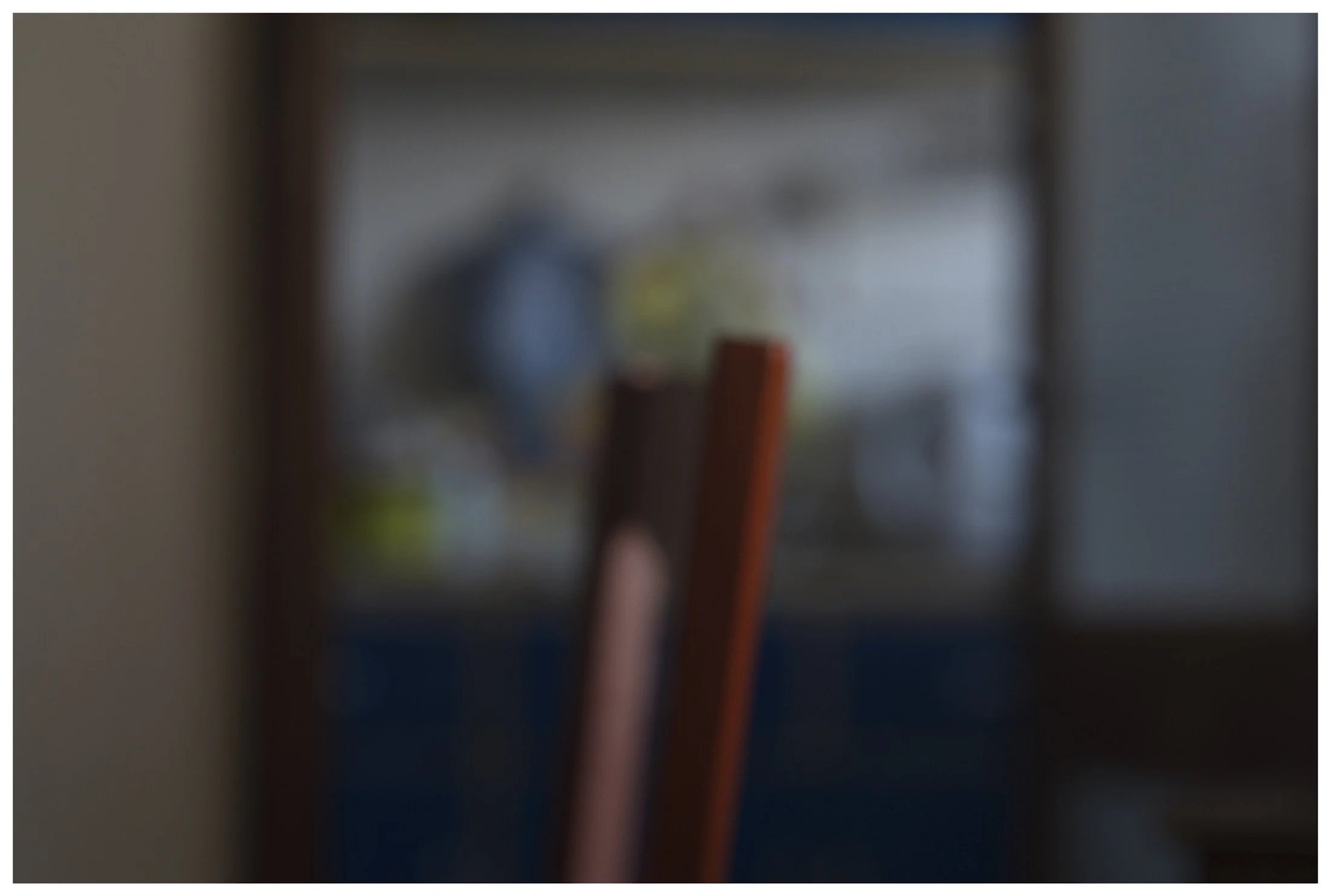 © António Campos Leal