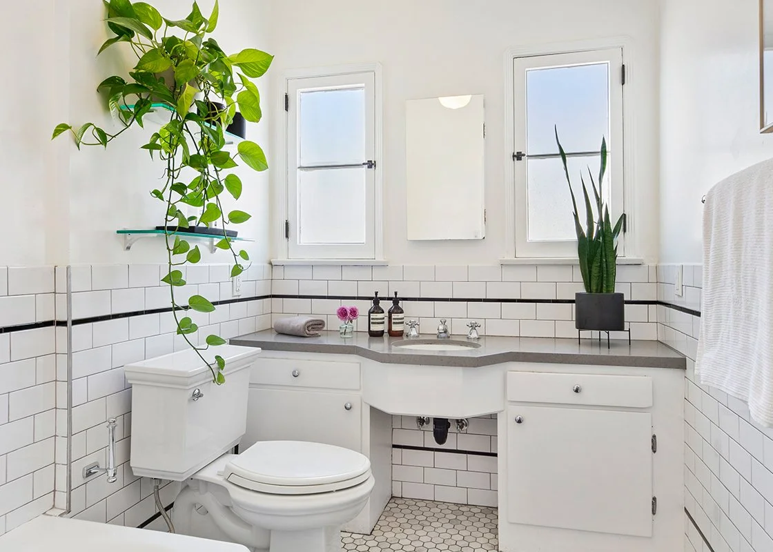 Bathroom featuring white tiled walls with a black trim, a white toilet, a counter with a sink, two small windows, and houseplants.