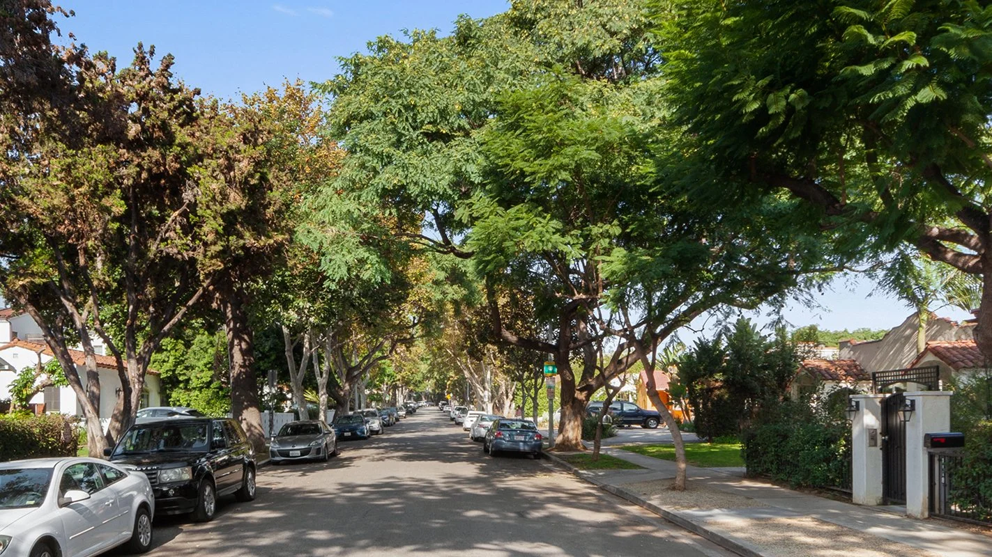 A residential street lined with large leafy trees, parked cars on both sides, and houses partially visible behind the foliage.