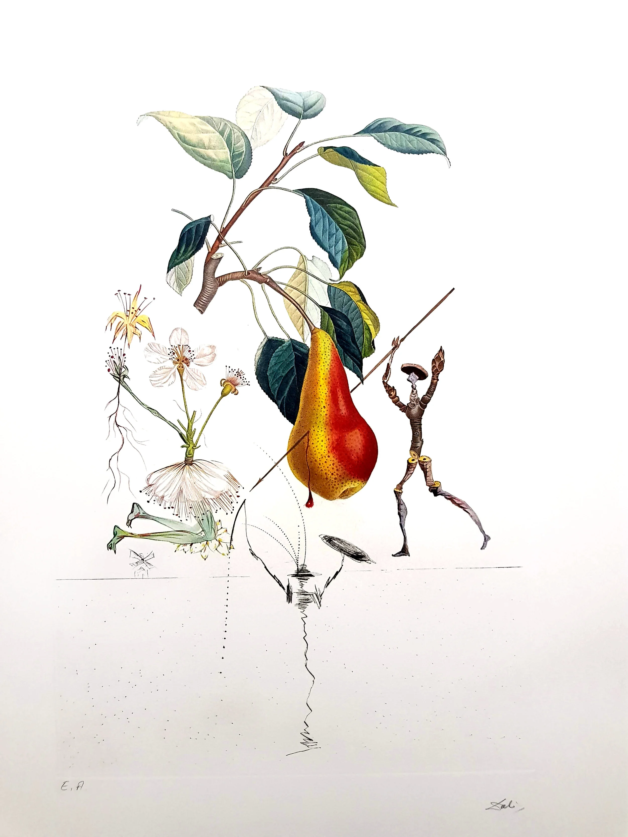  Explore Rare and Original Prints  