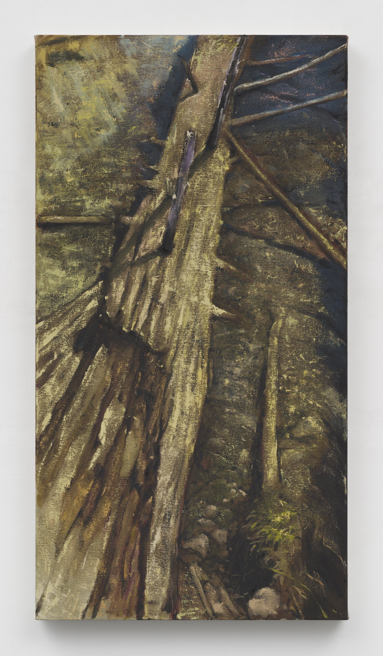 Louis Eisner (American, b.1988)