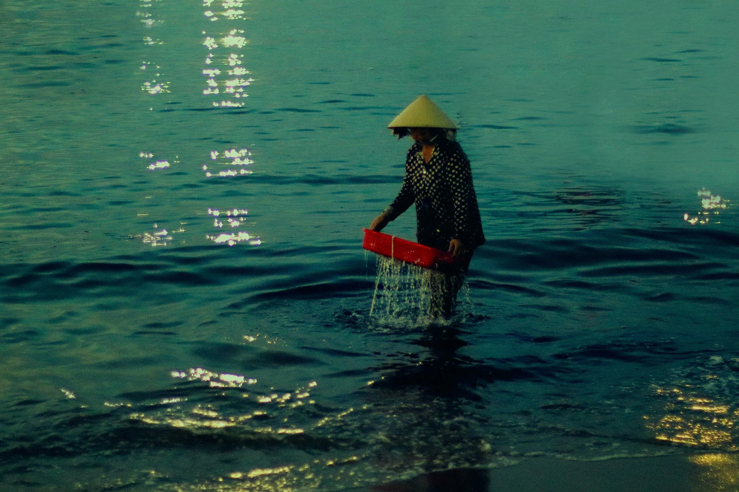 Selection #13 | December, 2025