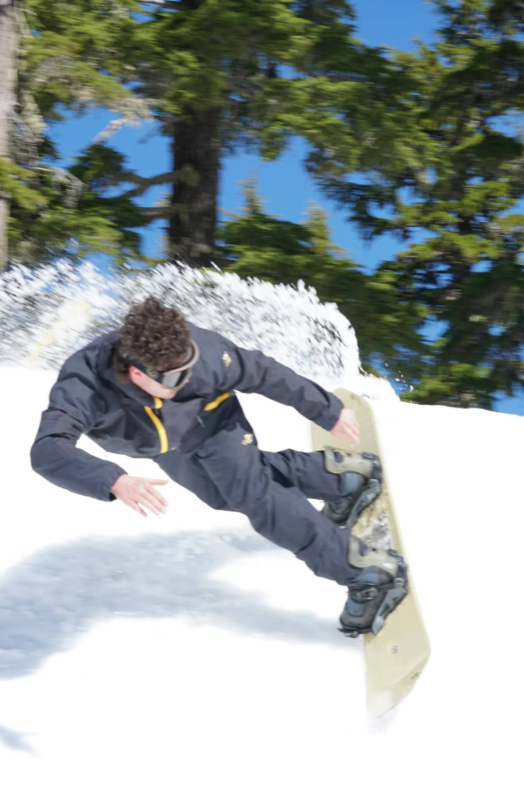 shreds good