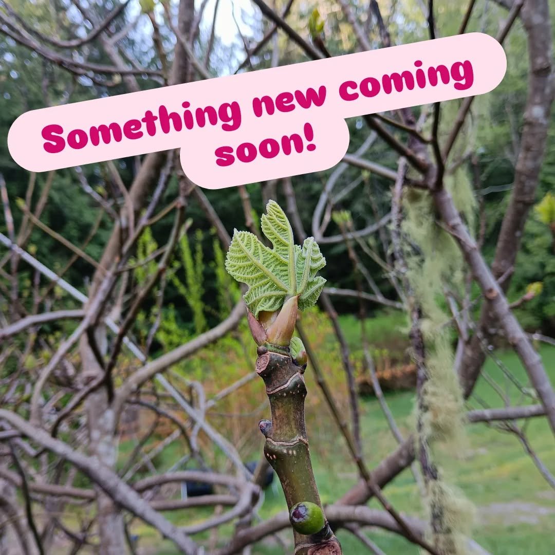 Welcome to Lilypad! We are slowly gathering our strength to grow into something beautiful, consider following to get notified of what's coming 🙂.
Lilypad Hobby & Arts Co-op is a collective group of neurodivergent and queer creatives and allies
