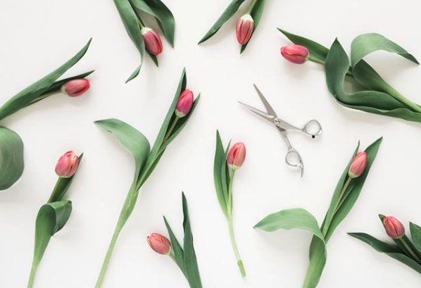 Screen Shot 2020-07-20 at 10.27.03 AM.png