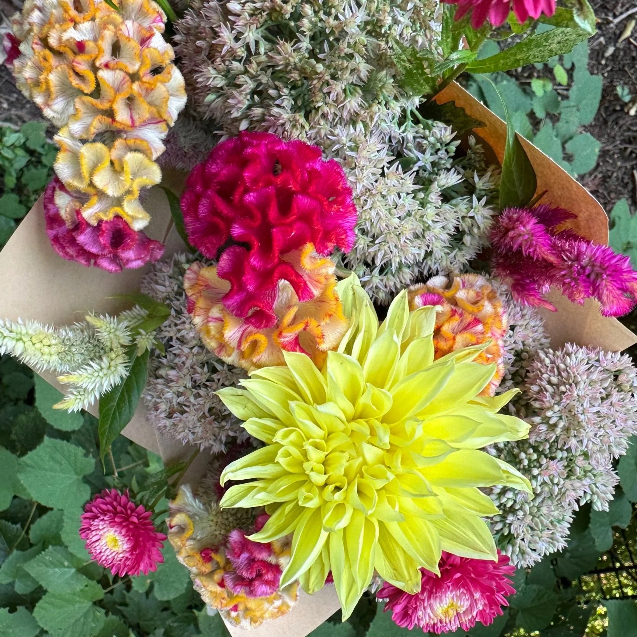 Biweekly Flower Subscription