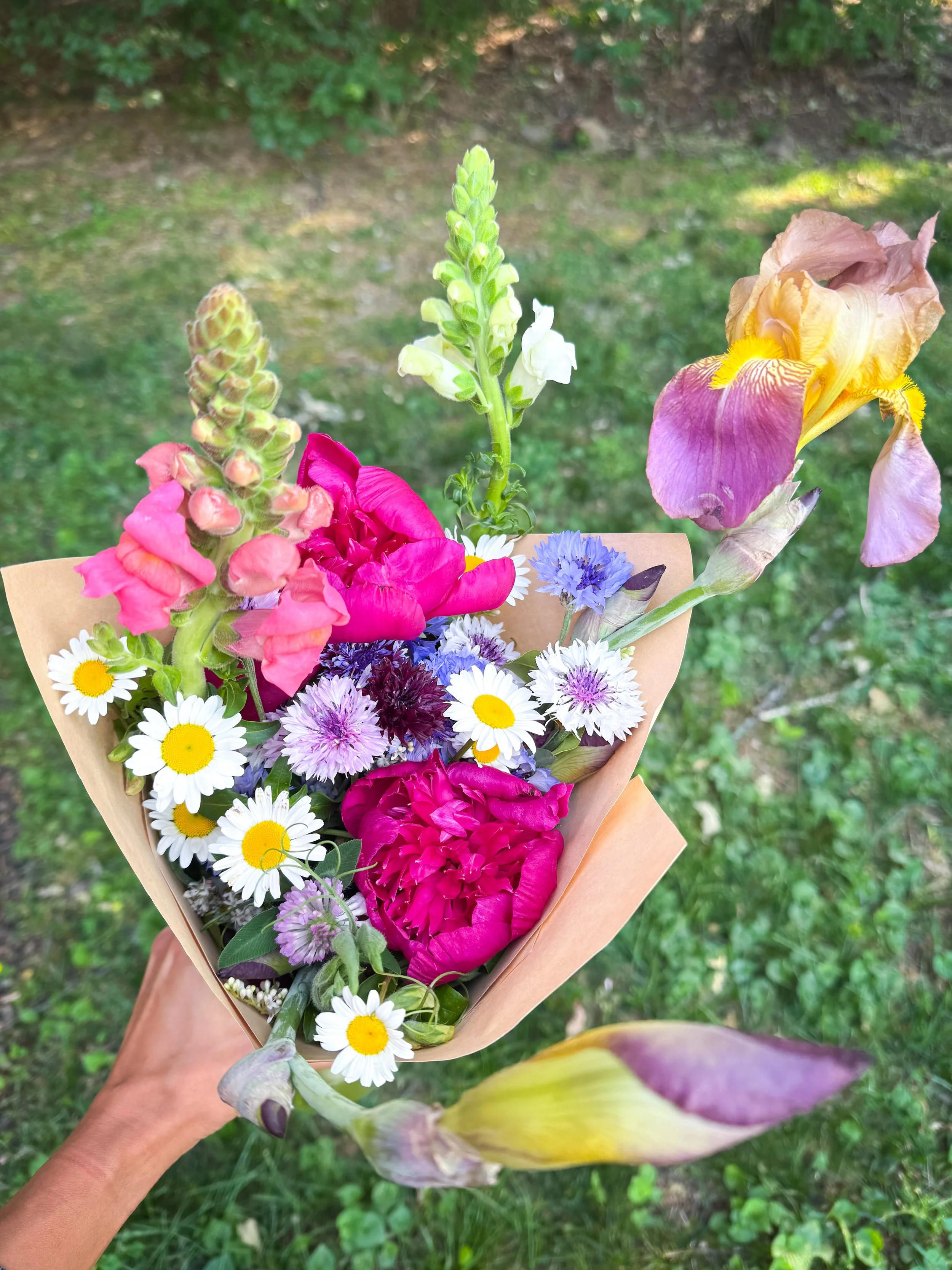 Monthly CSA June-October (Williamson Employees ONLY)