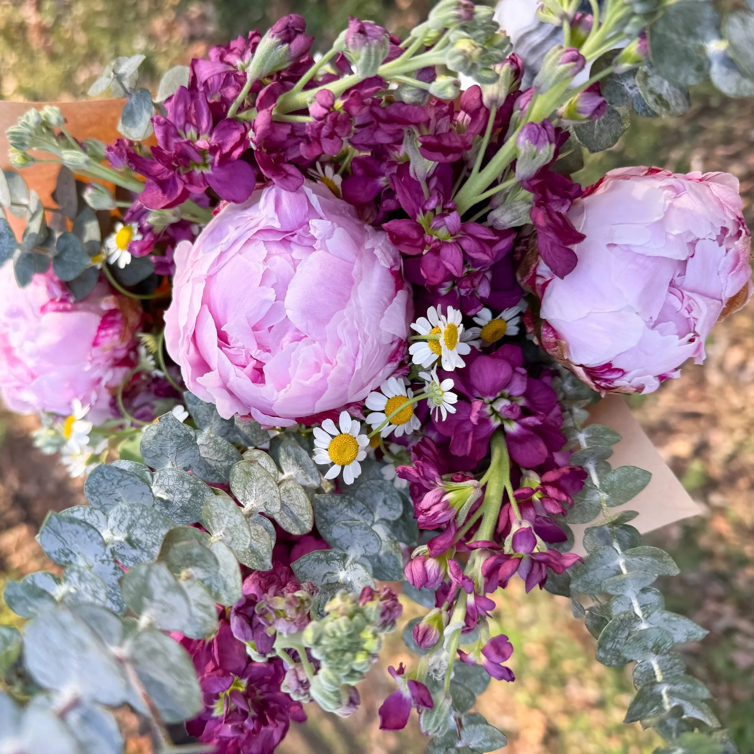 Bi-Weekly Flower Subscription (Paid in Full)