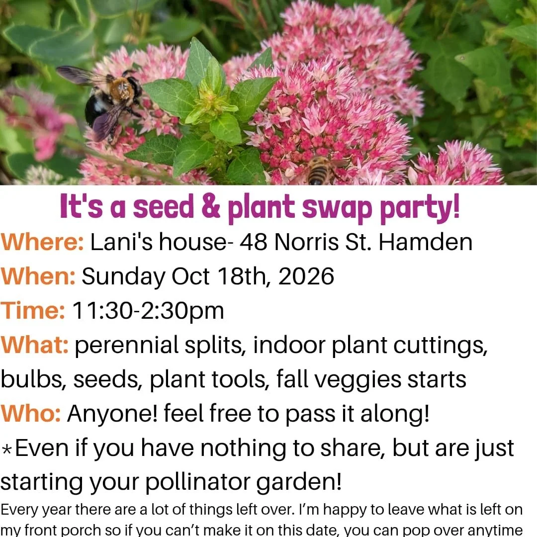 Spring Glen Plant Swap
