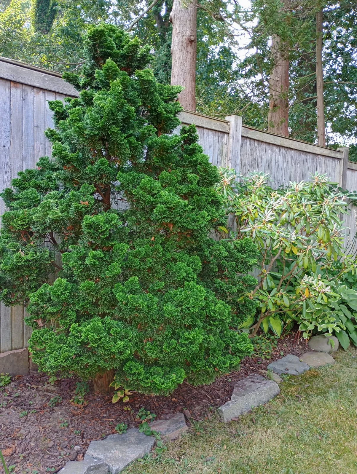 image000000 (11).JPG