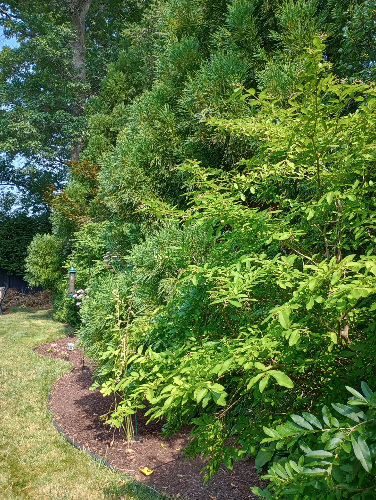 image000000 (10).JPG