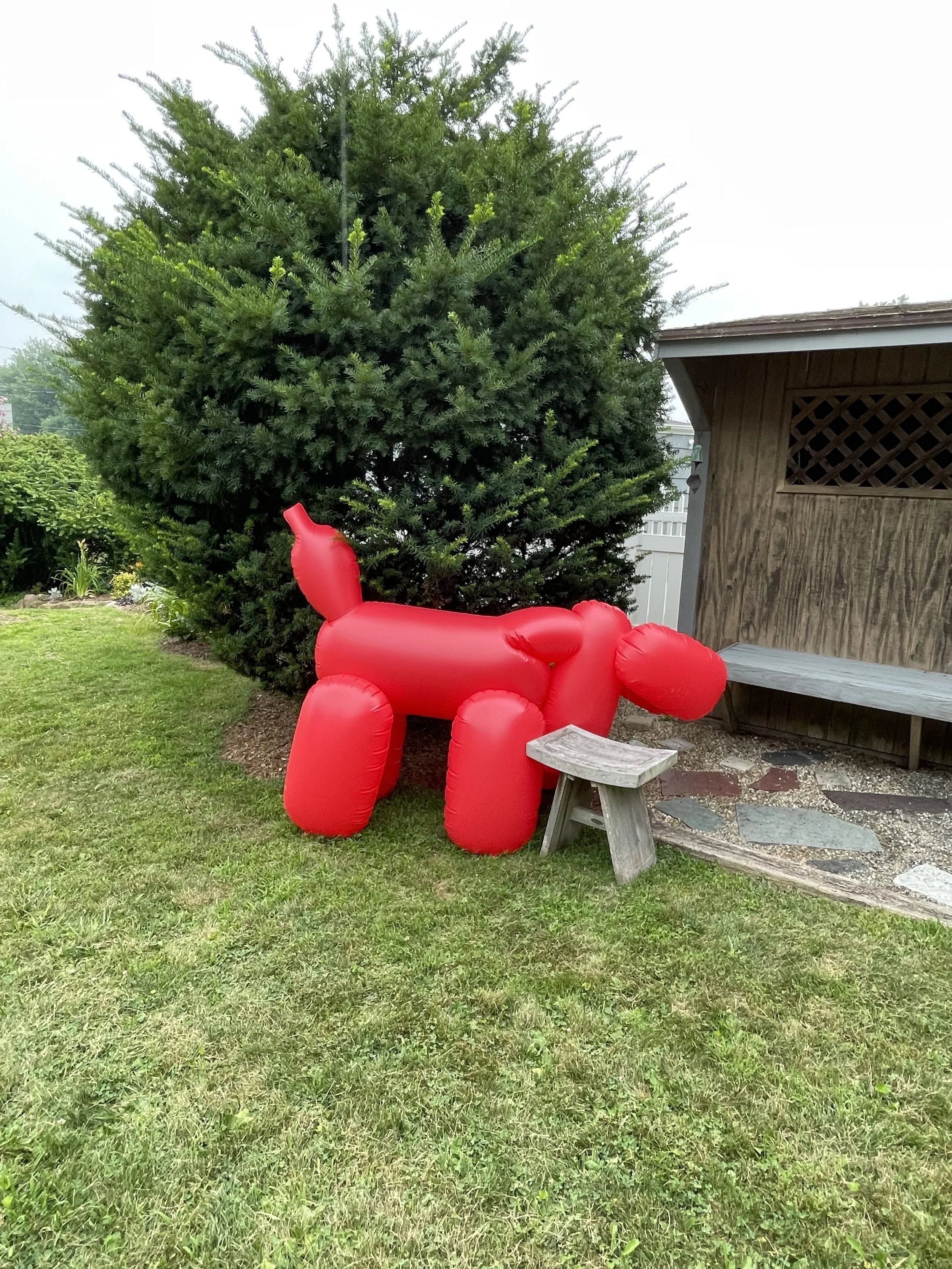 IMG_2607.jpeg