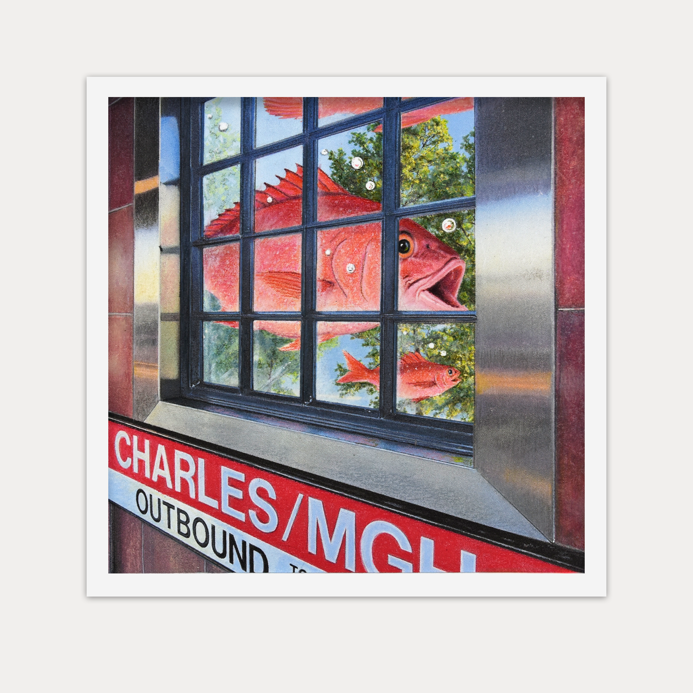 Charles Snapper Framed.png