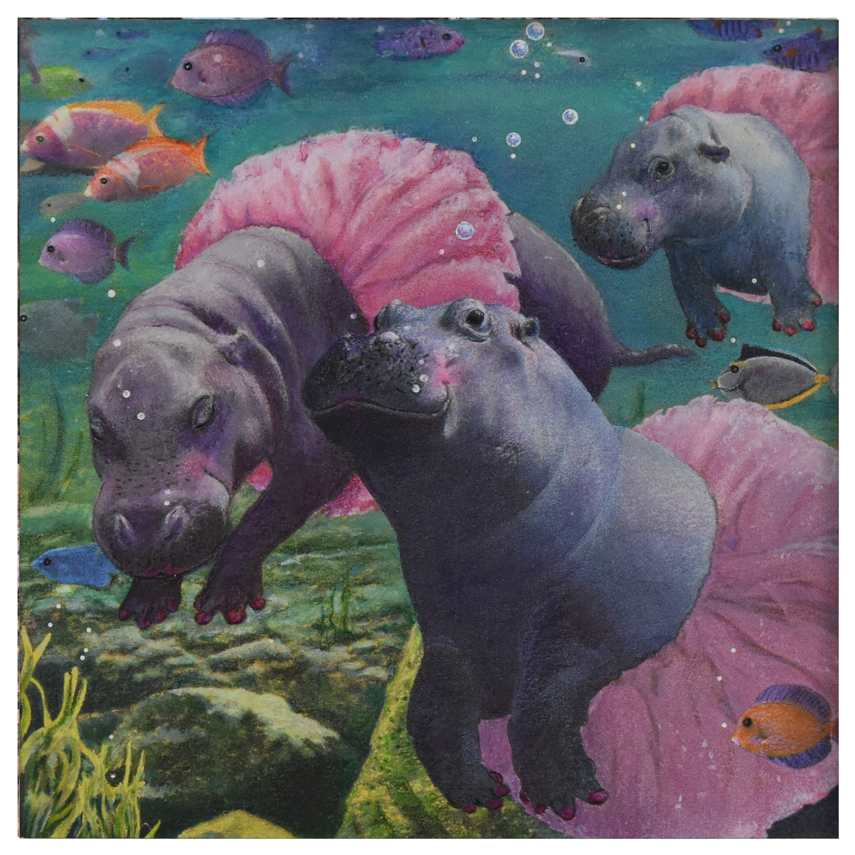 Hippo Ballet.png