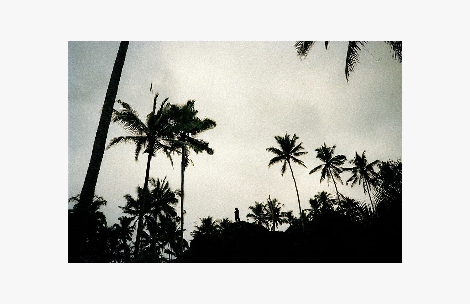joz-web-97.jpg