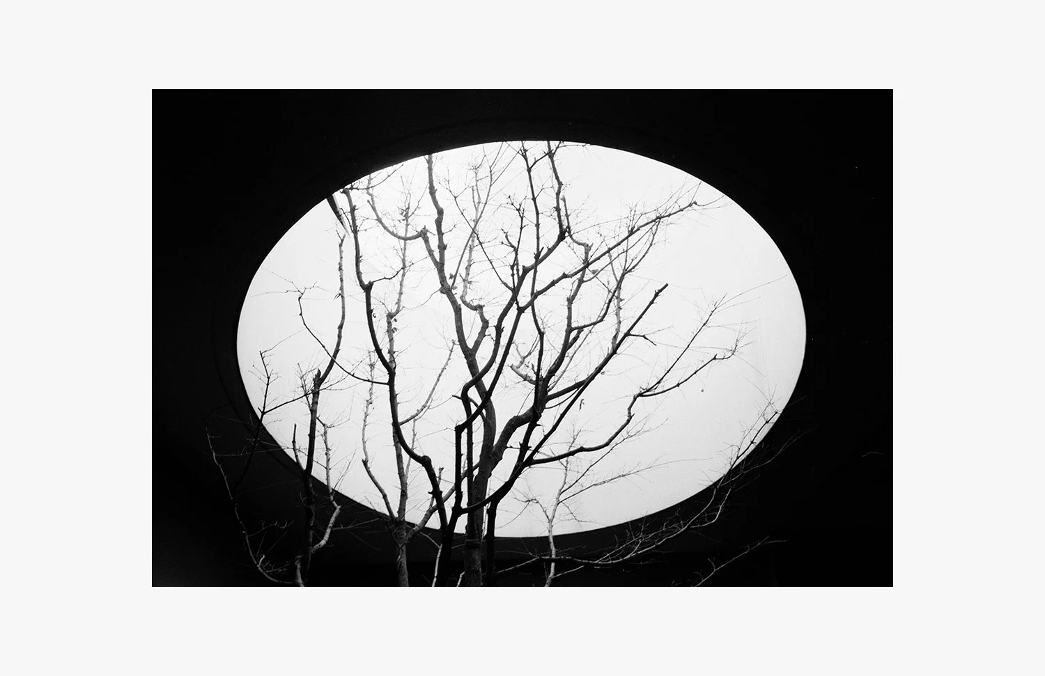 joz-web-109.jpg