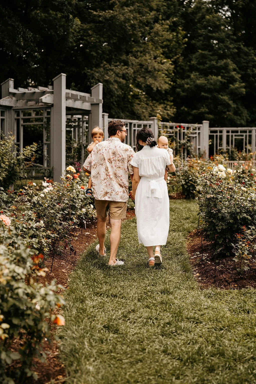 A family of four walking through a lush rose garden with an arched trellis in the background, during daytime.