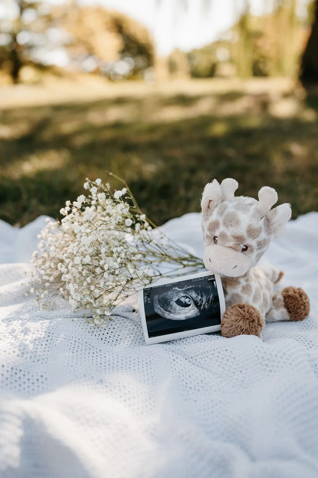 A stuffed giraffe toy, a bouquet of white baby's breath flowers, a sonogram picture, and a white blanket outdoors, with trees in the background.